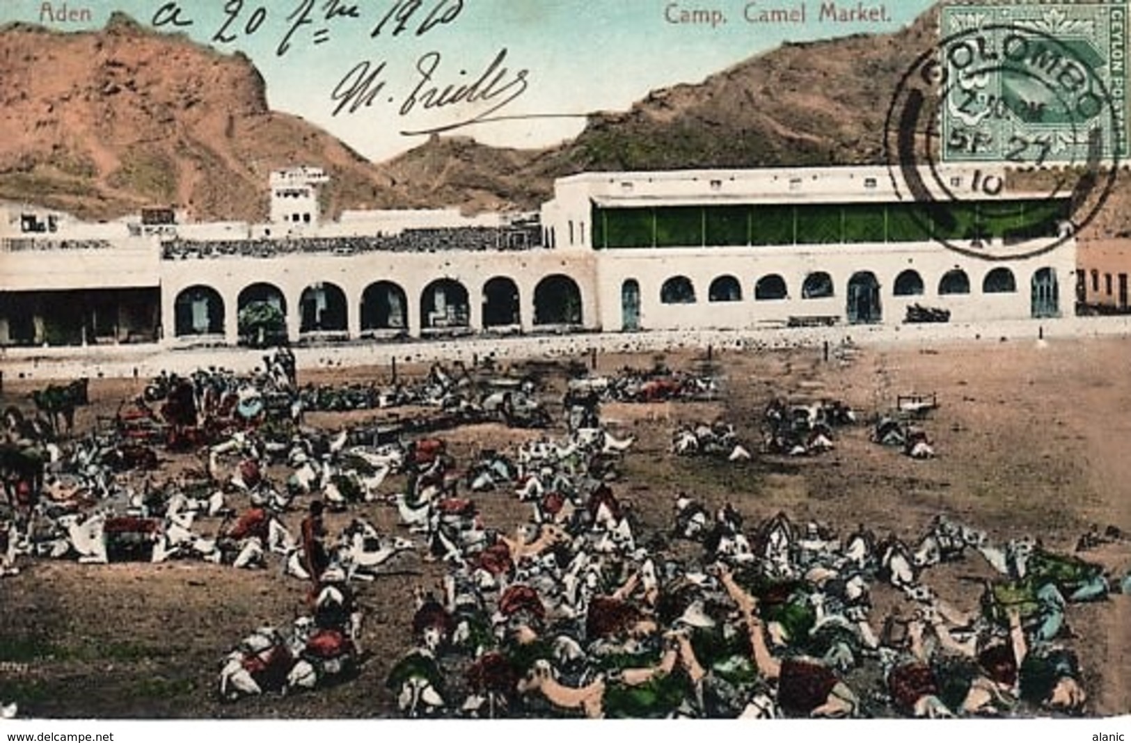 Asie > Aden. - Camel Market , Camp. (27- 9 - 1910) DEPART COLOMBO CEYLAN - Yemen