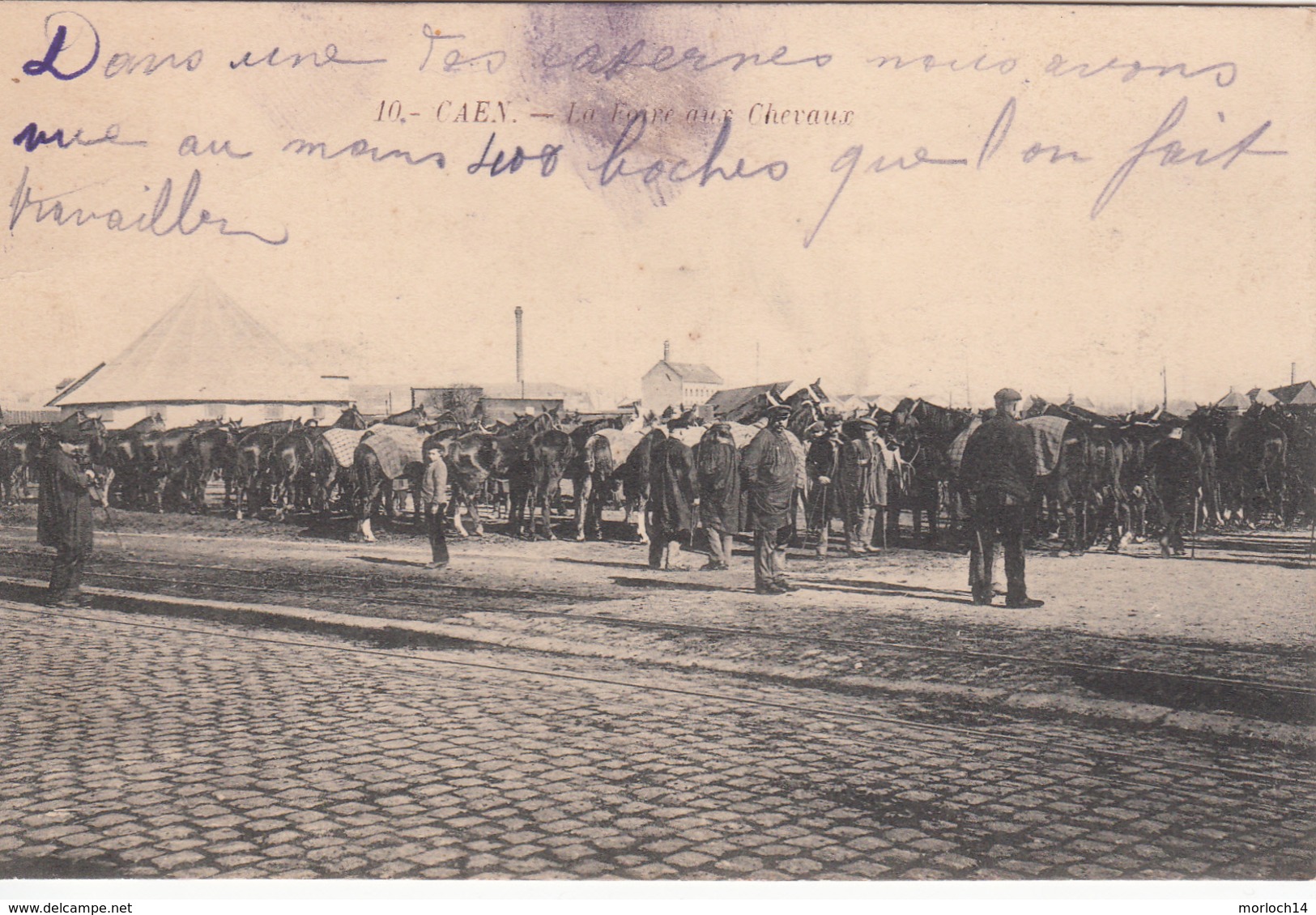 CAEN :  La Foire Aux Chevaux - Caen