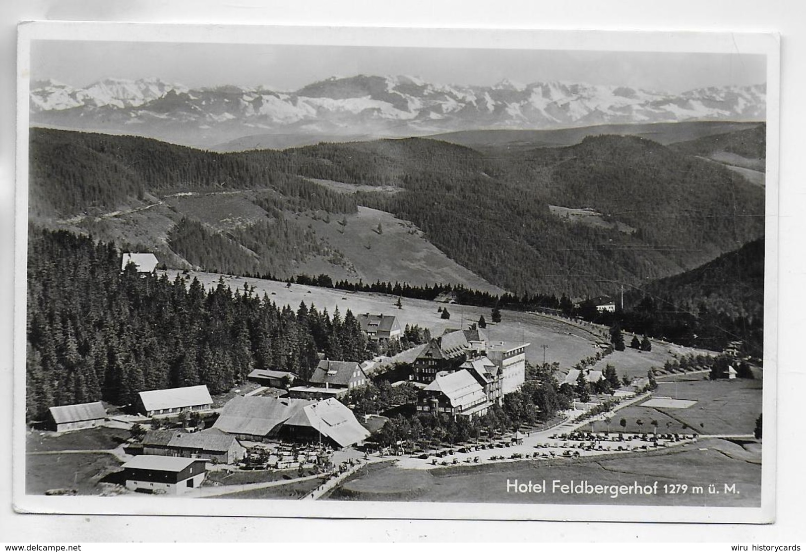 AK 0306  Hotel Feldbergerhof - Verlag Gebr. Metz Um 1950 - Feldberg