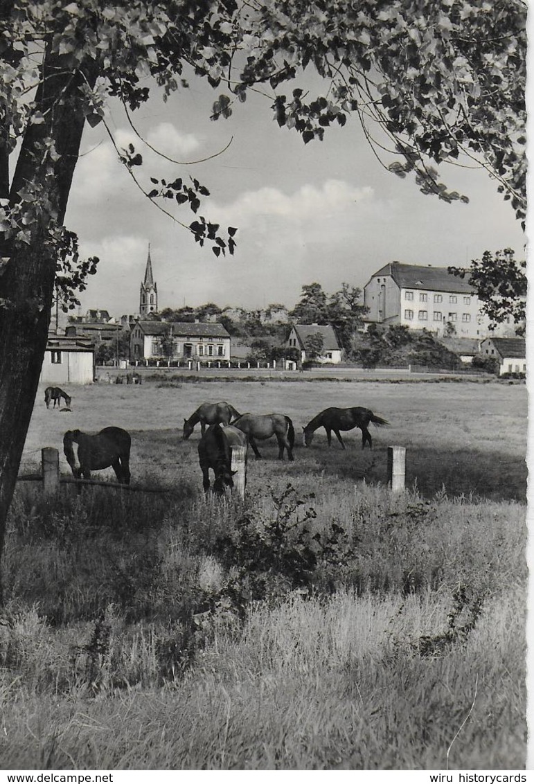 AK 0305  Wolmirstedt / Ostalgie , DDR Um 1961 - Wolmirstedt