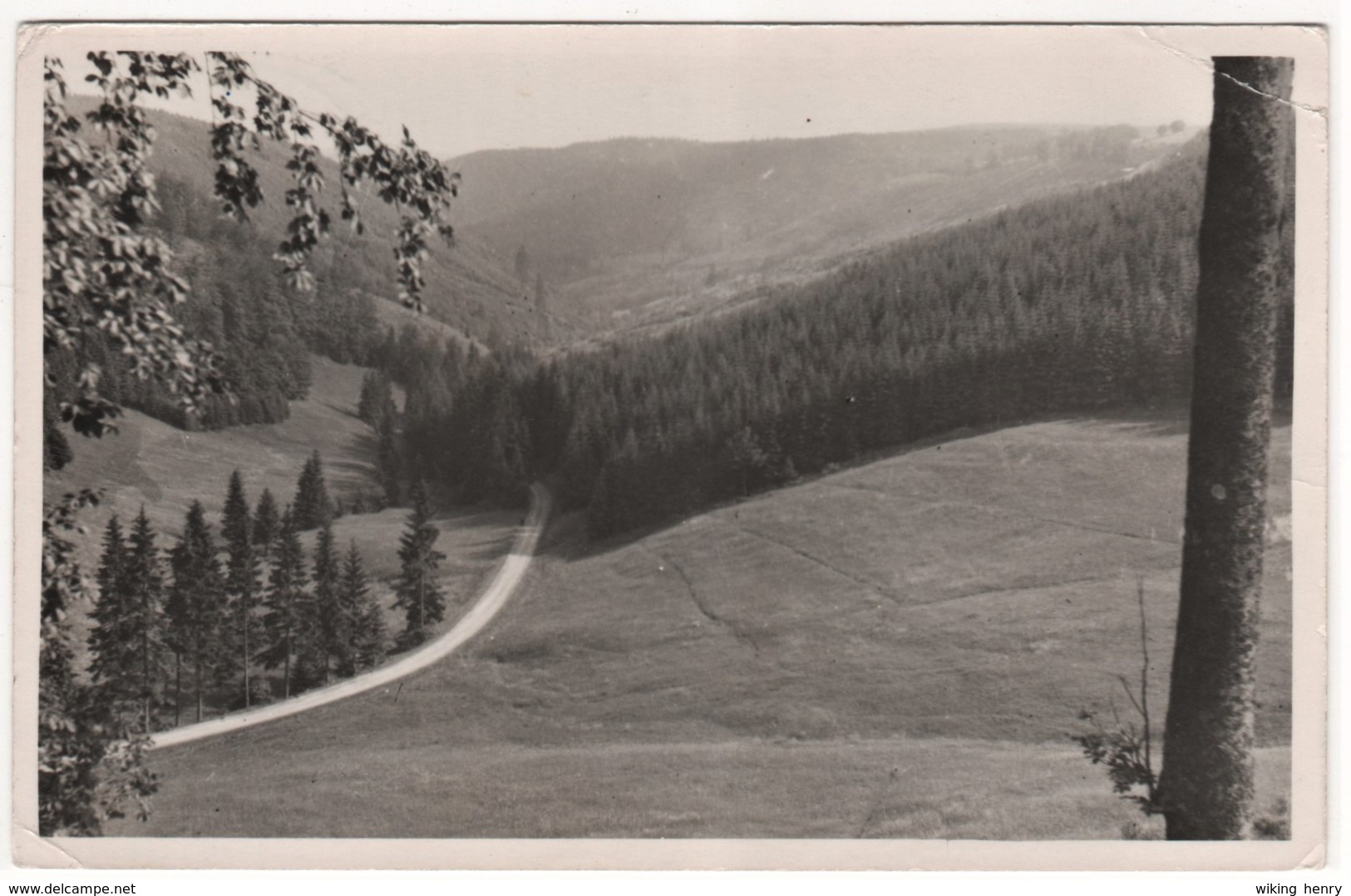 Schmiedefeld - S/w Blick Ins Vessertal - Schmiedefeld