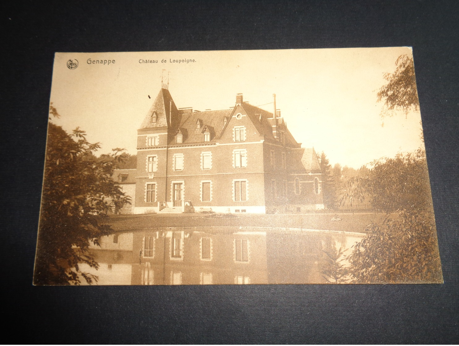 Belgique  België  ( 193 )    Genappe   Château De Loupoigne - Genappe