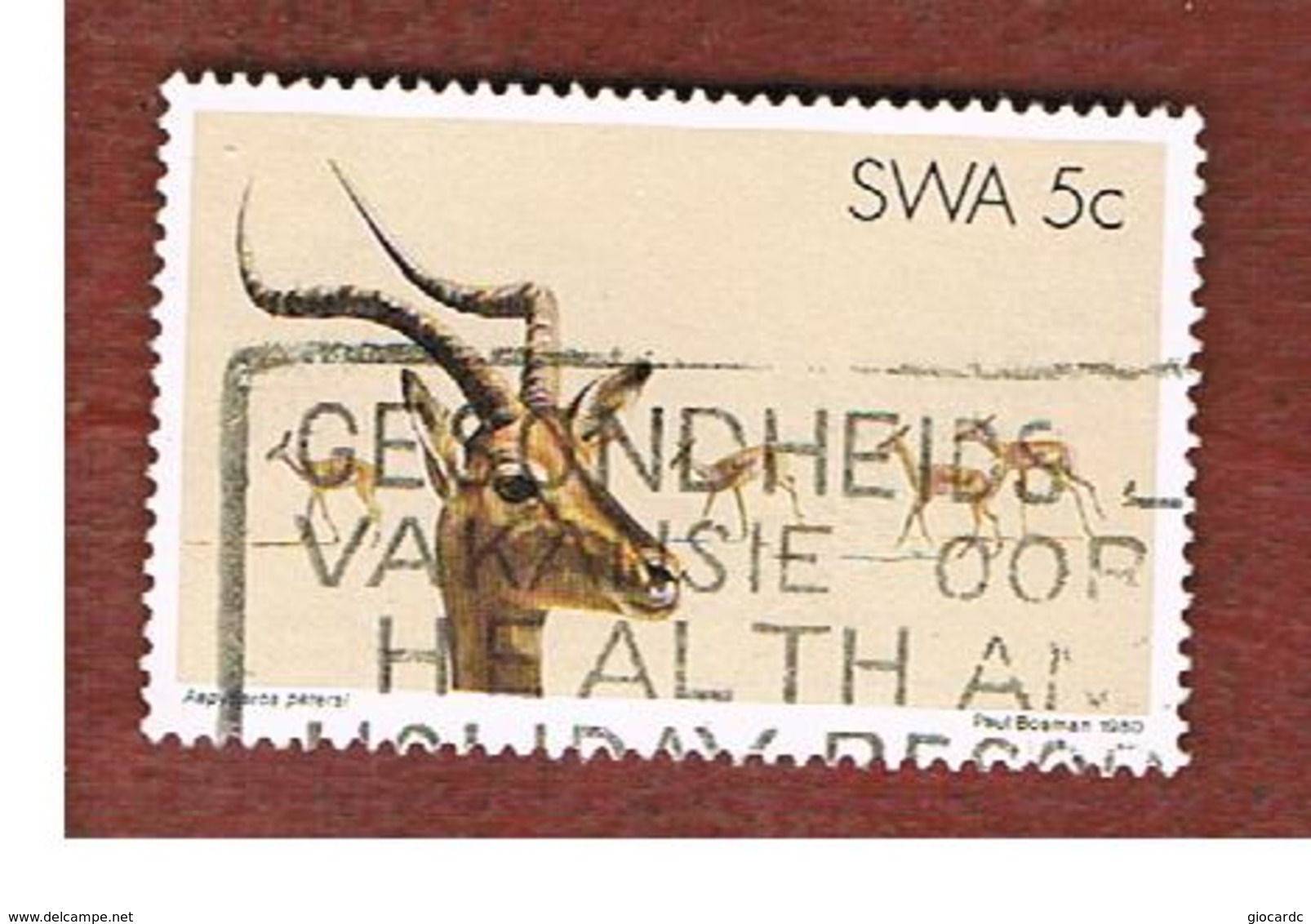 AFRICA SUD OVEST ( SWA -  SOUTH WEST AFRICA) -  SG 345 -  1980 ANIMALS: IMPALA   - USED ° - Africa Del Sud-Ovest (1923-1990)