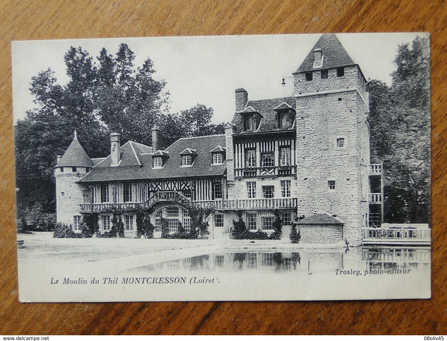 MONTCRESSON  (Loiret) -- Le Moulin Du Thil - Vue PEU COURANTE !! - Autres & Non Classés