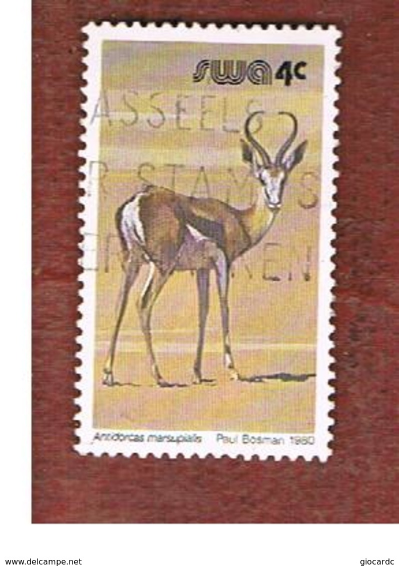 AFRICA SUD OVEST ( SWA -  SOUTH WEST AFRICA) -  SG 352 -  1980 ANIMALS: SPRINGBOK   - USED ° - Africa Del Sud-Ovest (1923-1990)