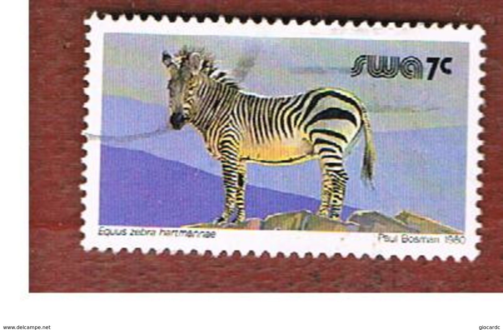 AFRICA SUD OVEST ( SWA -  SOUTH WEST AFRICA) -  SG 355 -  1980 ANIMALS: MOUNTAIN ZEBRA   - USED ° - Africa Del Sud-Ovest (1923-1990)