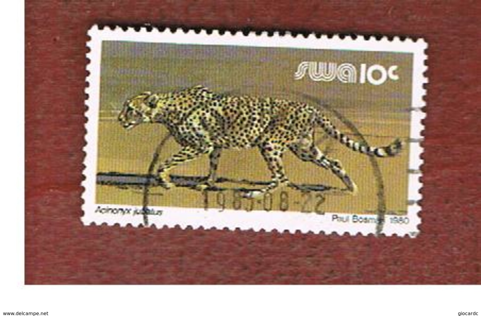 AFRICA SUD OVEST ( SWA -  SOUTH WEST AFRICA) -  SG 358 -  1980 ANIMALS: CHEETAH   - USED ° - Africa Del Sud-Ovest (1923-1990)