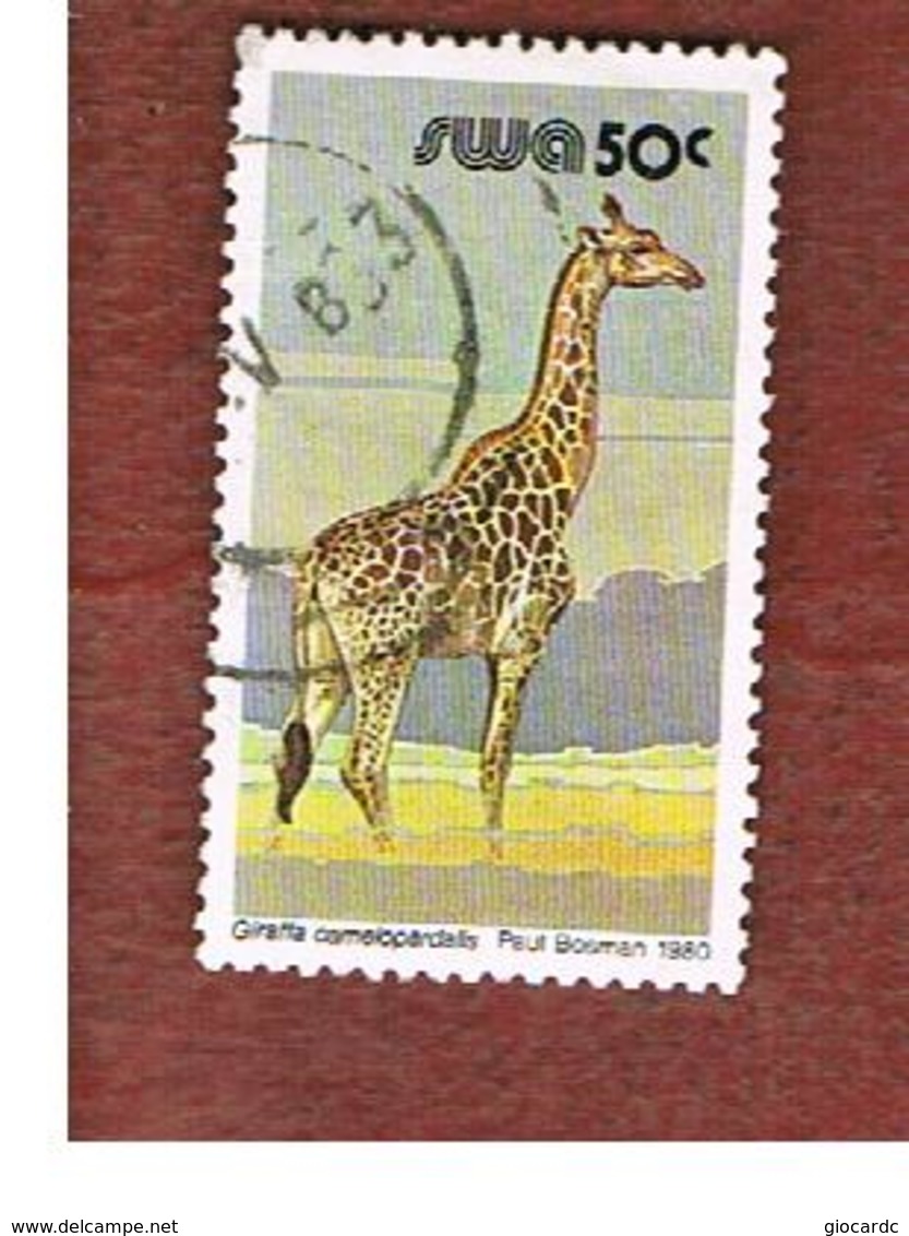 AFRICA SUD OVEST (SWA - SOUTH WEST AFRICA) -  SG 363 -  1980 ANIMALS: GIRAFFE   - USED ° - Africa Del Sud-Ovest (1923-1990)