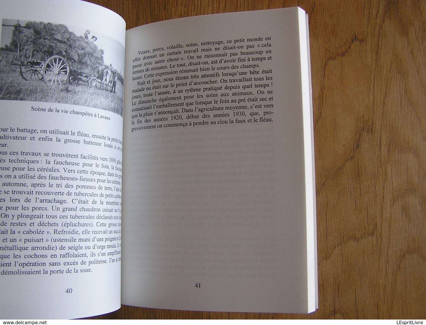 UNE ENFANCE à LAVAUX SAINTE ANNE DANS L'ENTRE DEUX GUERRES Lambilotte Régionalisme Récit Wellin Focant Métiers Ruralité