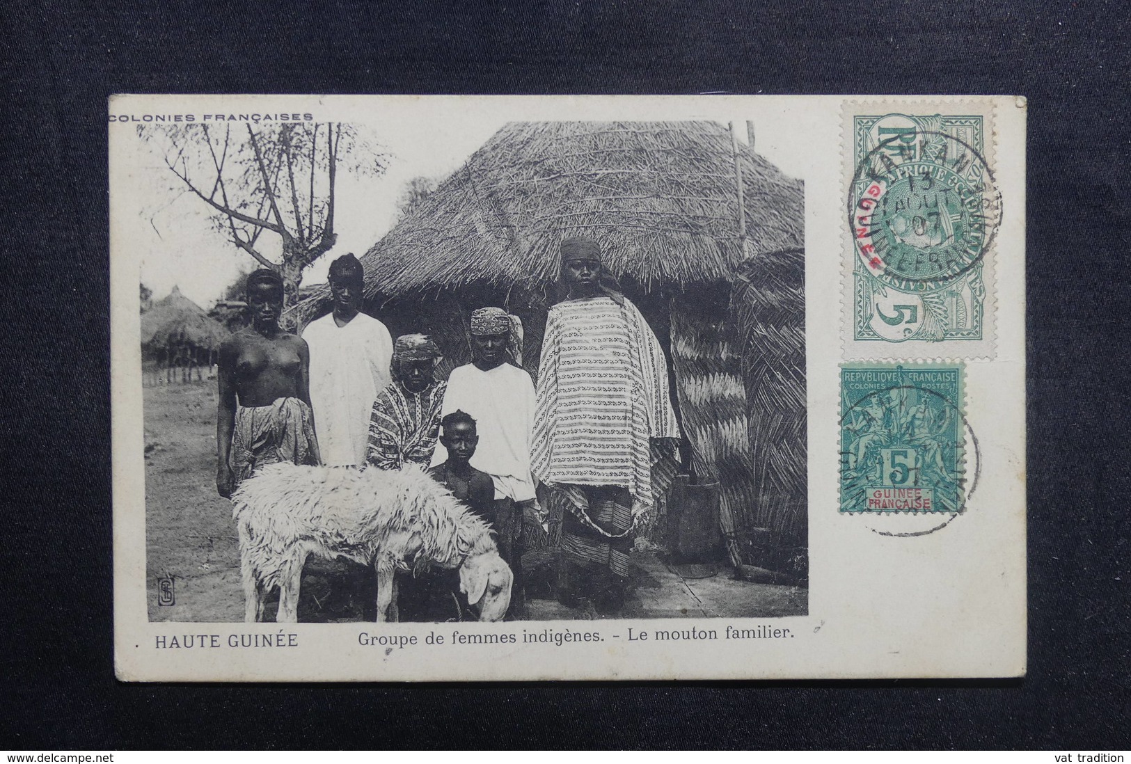 GUINÉE - Carte Postale - Groupe De  Femmes Indigènes - Le Mouton Familier - L 41011 - Guinée Française