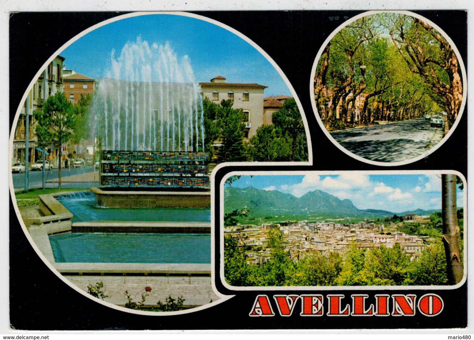 AVELLINO   VEDUTE        (VIAGGIATA) - Avellino