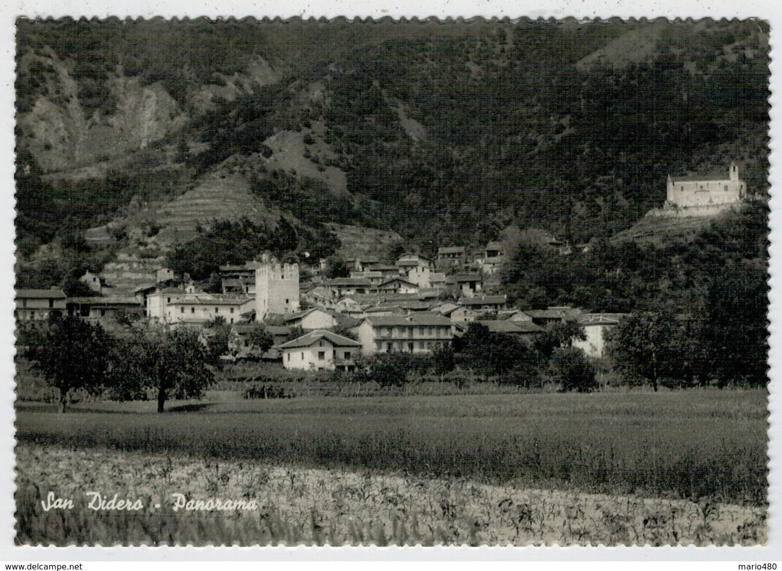 SAN  DIDERO   (TO)    PANORAMA             (VIAGGIATA) - Altri & Non Classificati