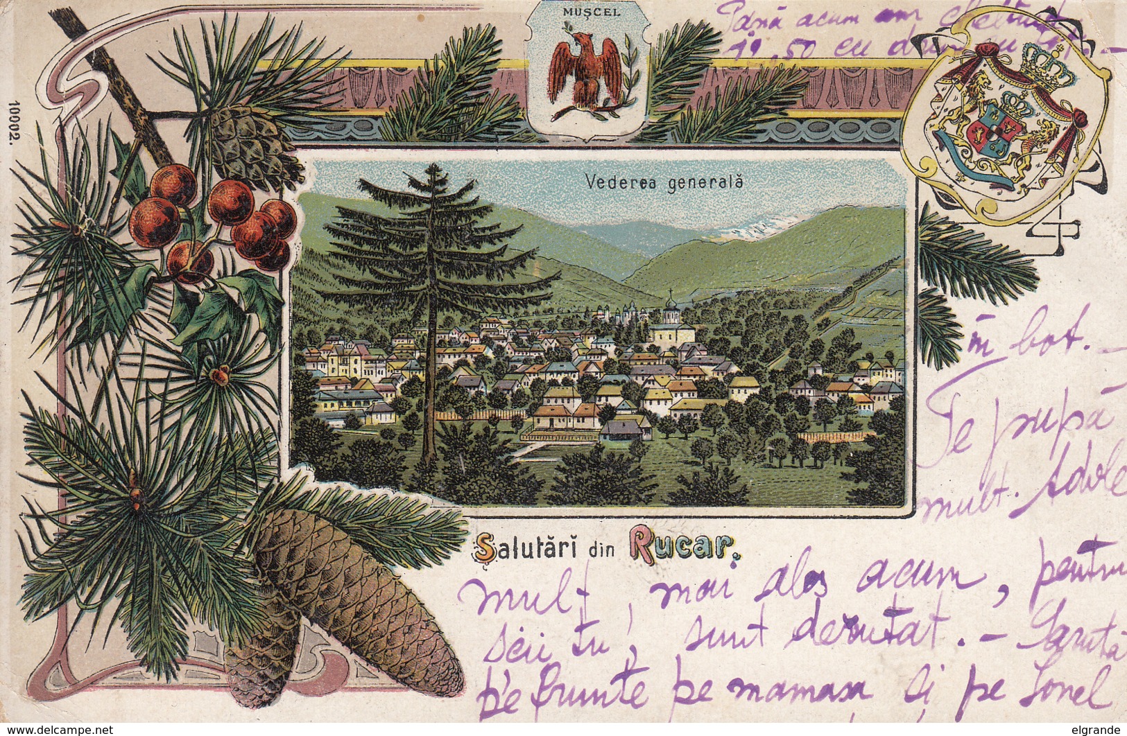 Old Postcard Salutari Din Rucar Litho - Romania