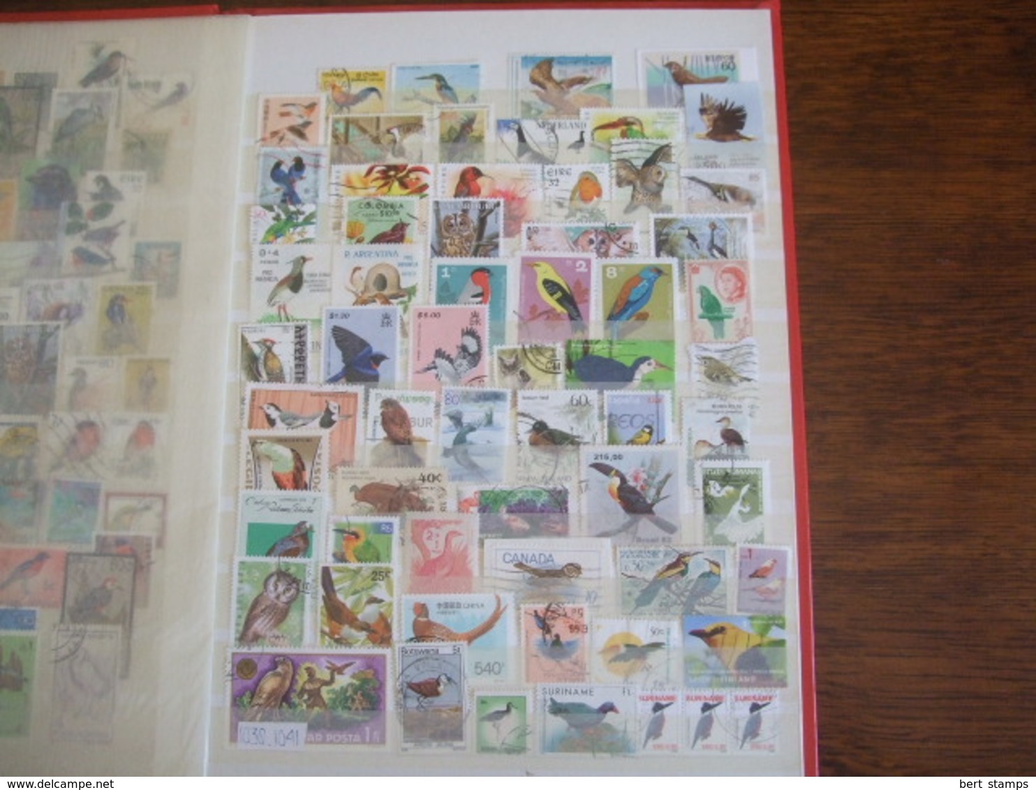 Nice collection Birds ans also scandinavien stamps in binder