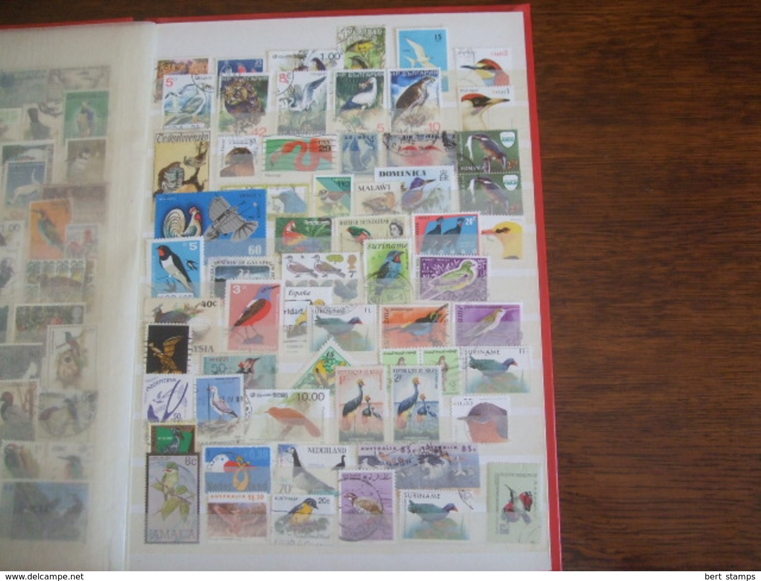 Nice collection Birds ans also scandinavien stamps in binder