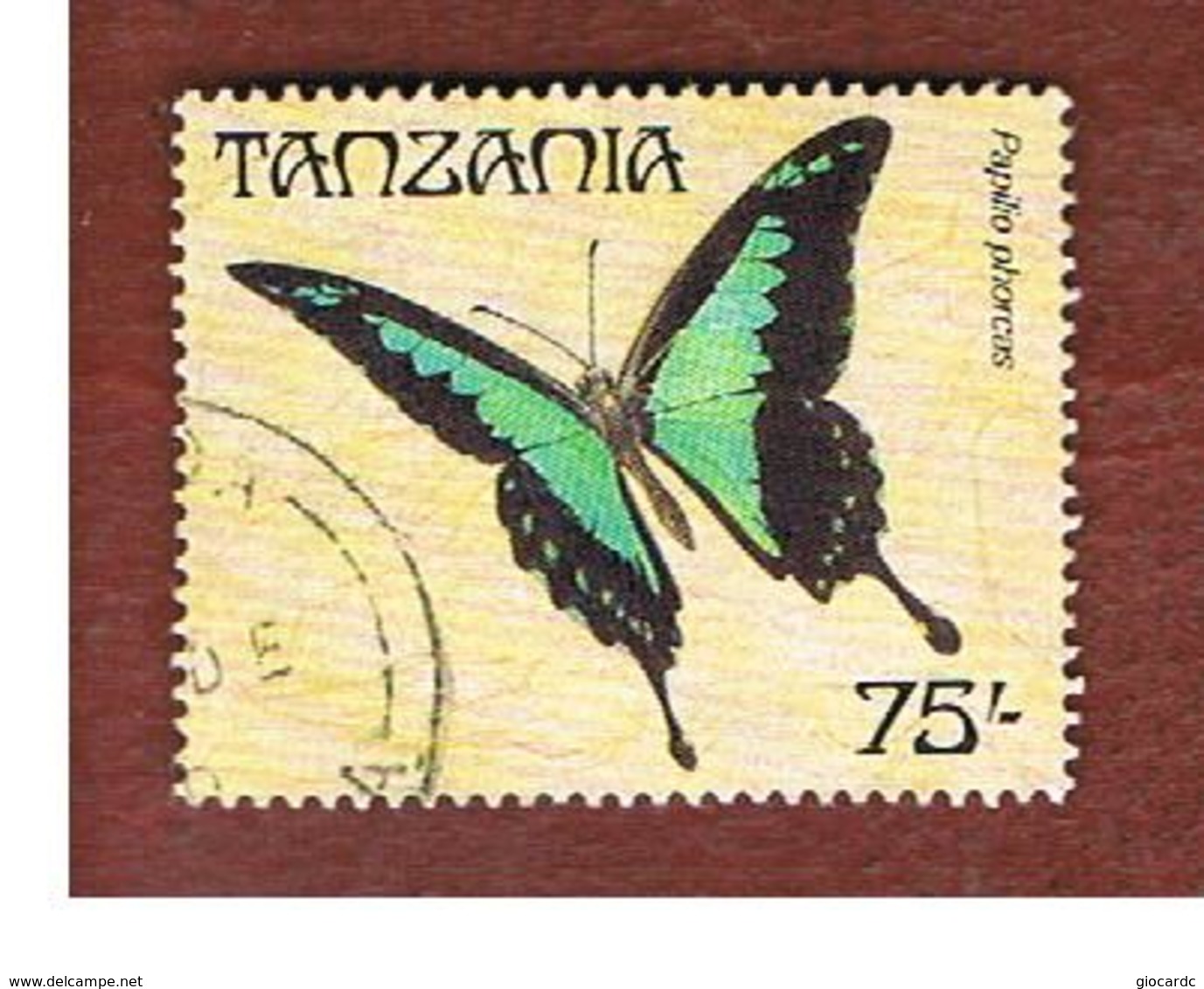 TANZANIA  -  SG 602 -    1988  BUTTERFLIES :  PAPILIO PHORCHAS - USED ° - Tanzania (1964-...)