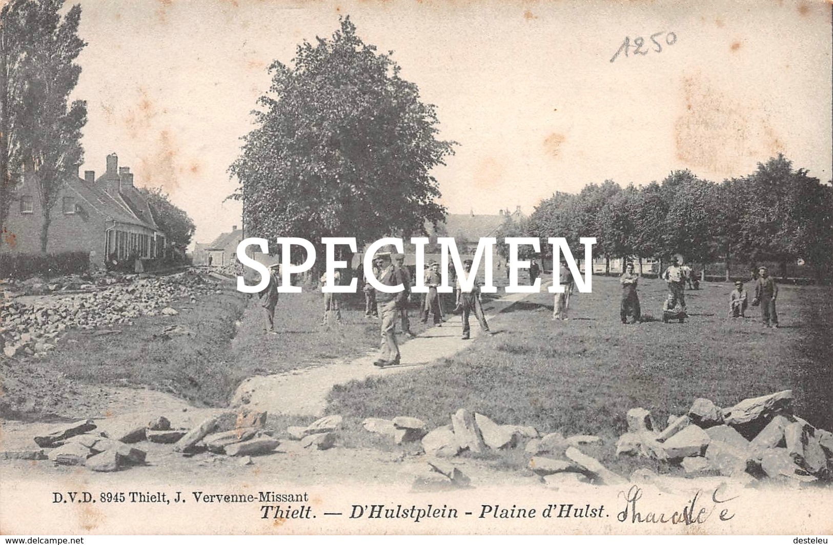 DVD 8945 D'Hulstplein  Thielt - Tielt - Tielt