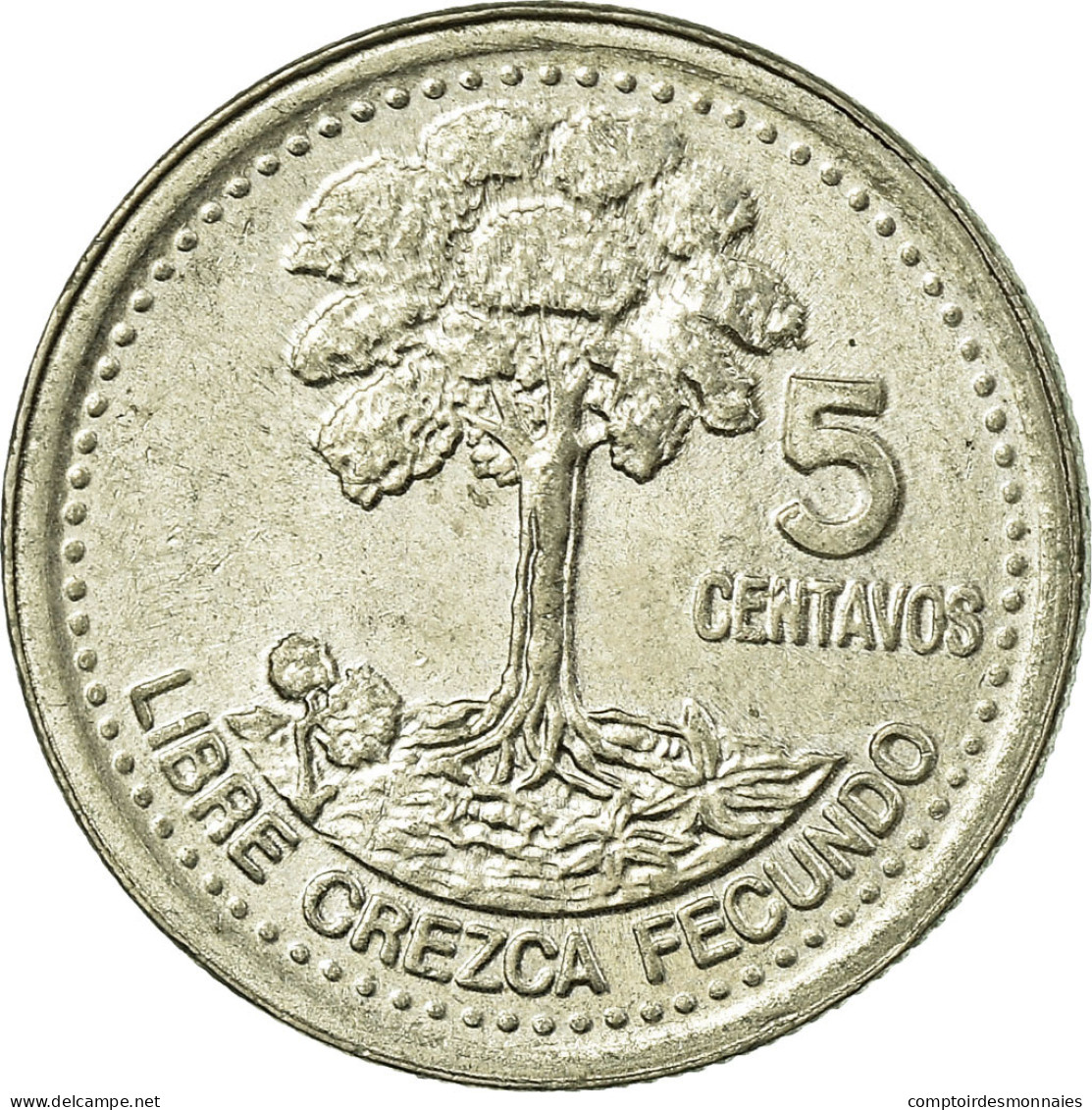 Monnaie, Guatemala, 5 Centavos, 2000, TTB, Copper-nickel, KM:276.6 - Guatemala