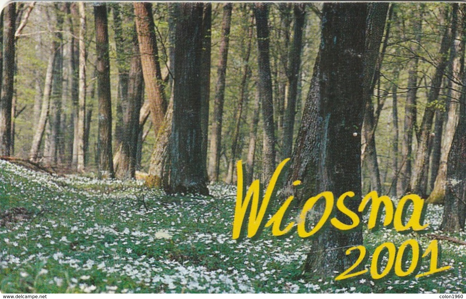 POLONIA. CHIP. Wiosna 2001, PRIMAVERA, FAUNA - CONEJOS. D-041. (073) - Konijnen