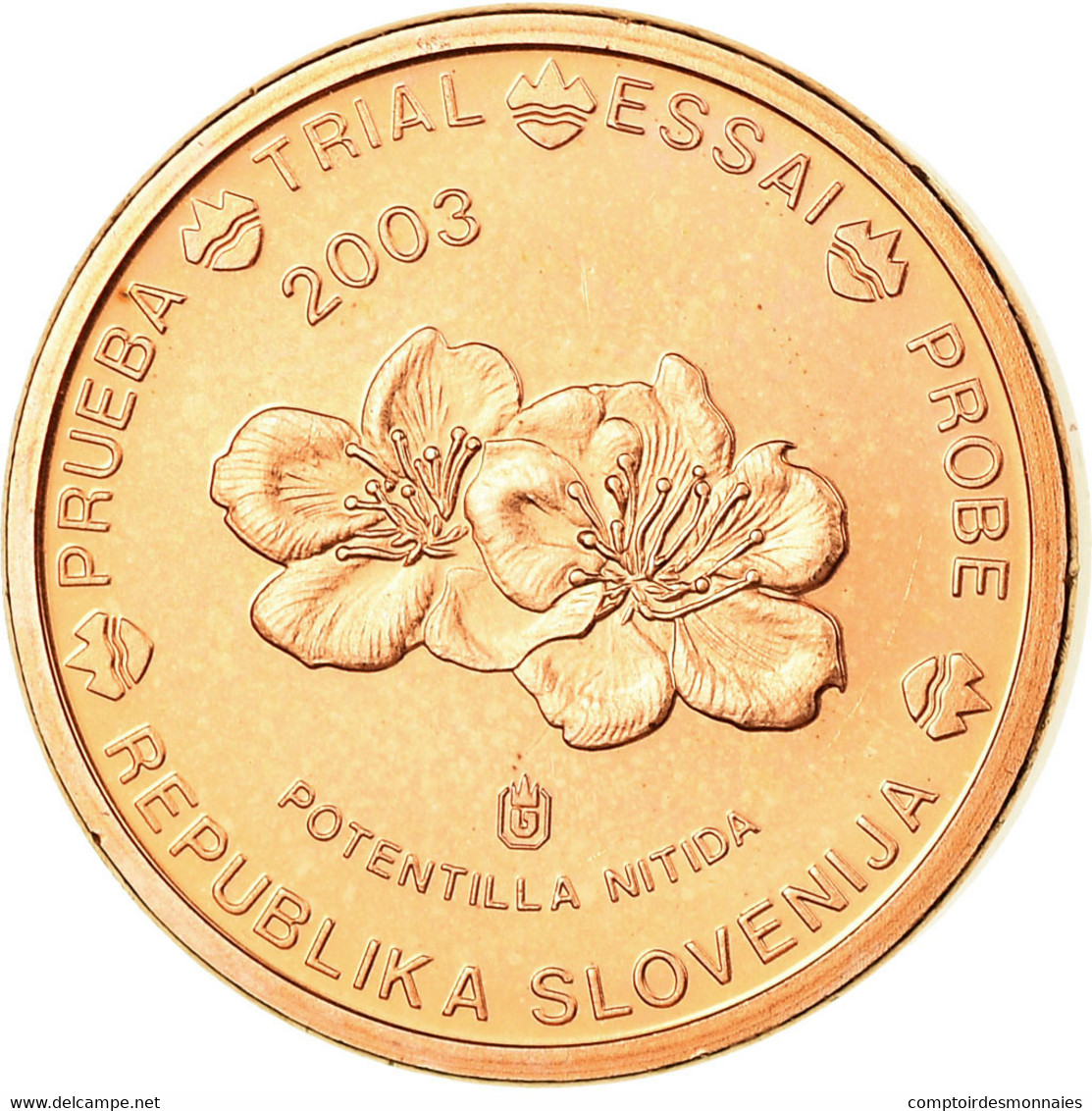 Slovénie, Euro Cent, 2003, TTB, Copper Plated Steel - Essais Privés / Non-officiels