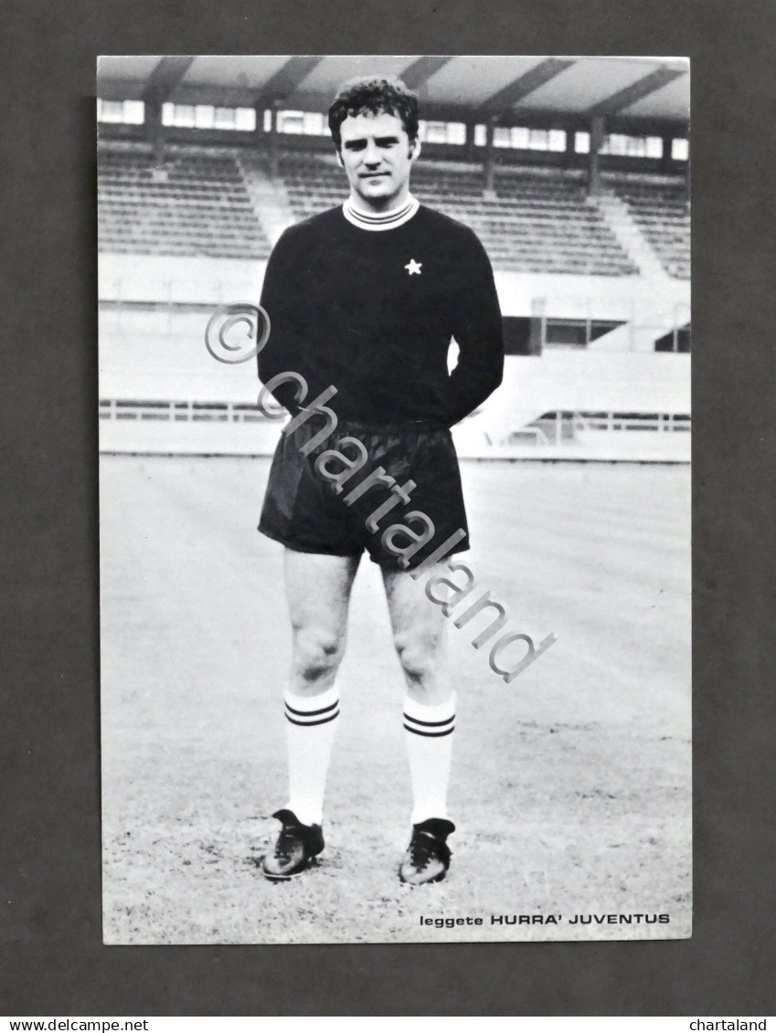 Autographs - Sport Calcio - Autografo del portiere Roberto Tancredi -  Juventus - 1970 ca.
