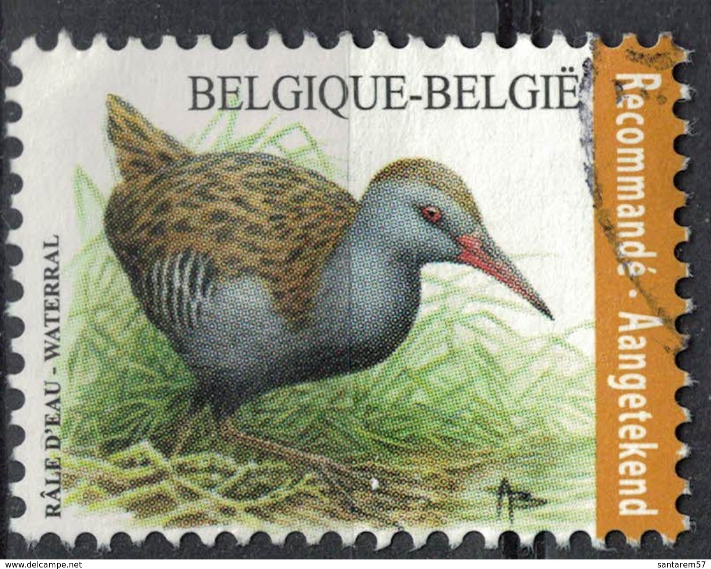 Belgique 2017 Oblitéré Used Oiseau Bird Râle D'eau Waterral Recommandé SU - Gebraucht