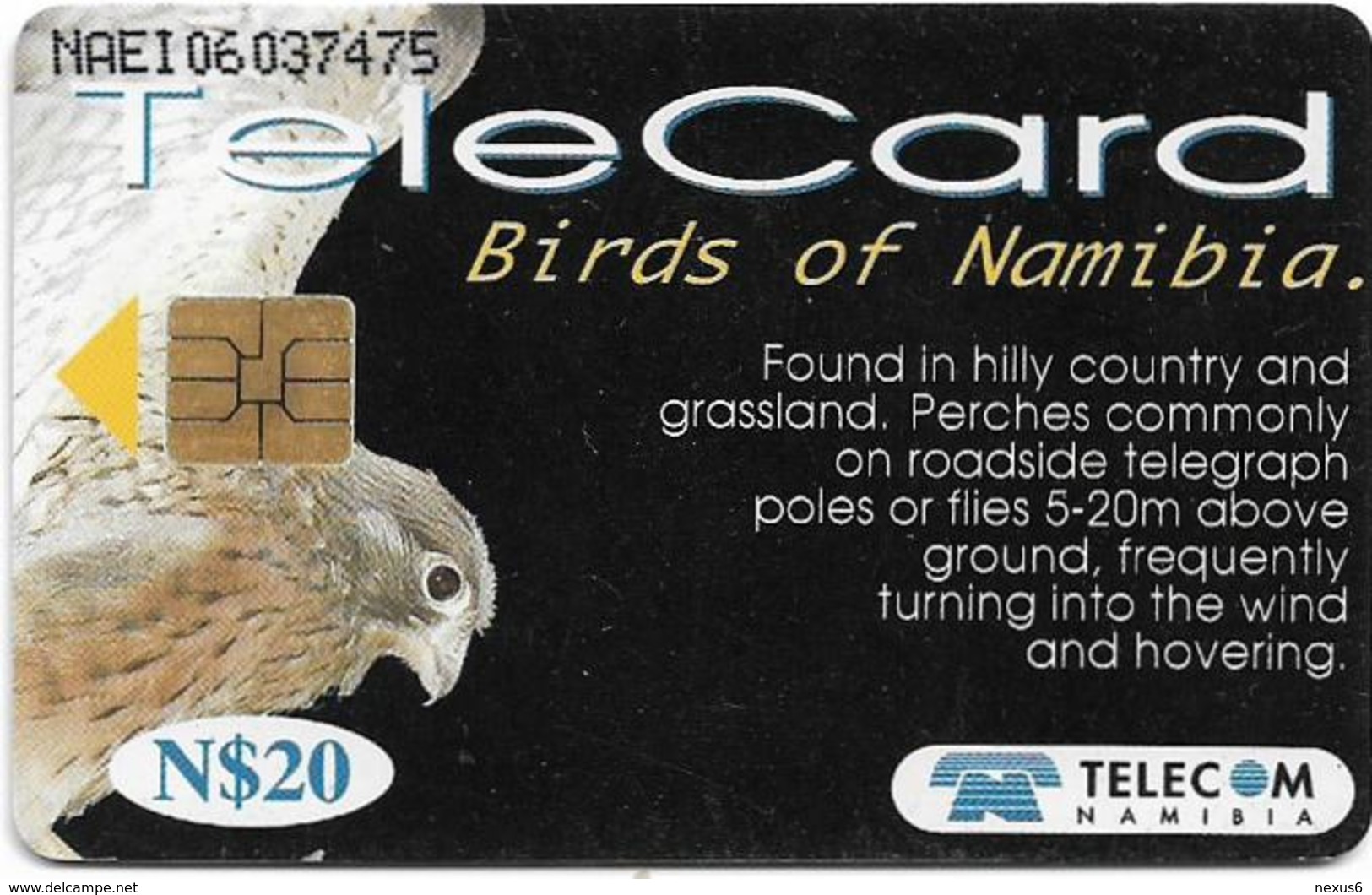 Namibia - Telecom Namibia - Birds Of Namimbia - Rock Kestrel - 20$, 1999, Used - Namibie