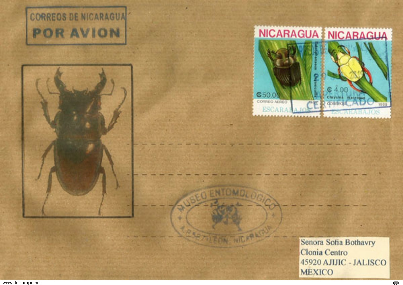 Coléoptères Chrysina Macropus & Sulcophaneous  Sur Lettre Nicaragua Adressée Au Mexique (Museo Entomologico Leon) - Nicaragua