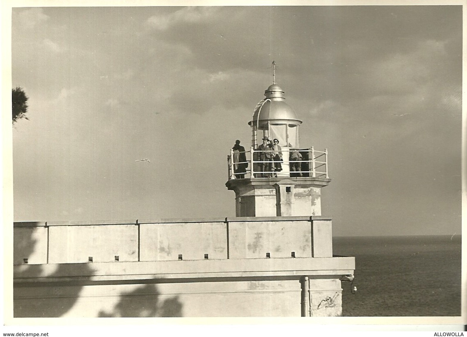 5095 "PORTOFINO-IL FARO-PASQUA 1955 "- FOTOCARTOLINA ORIGINALE - Luoghi