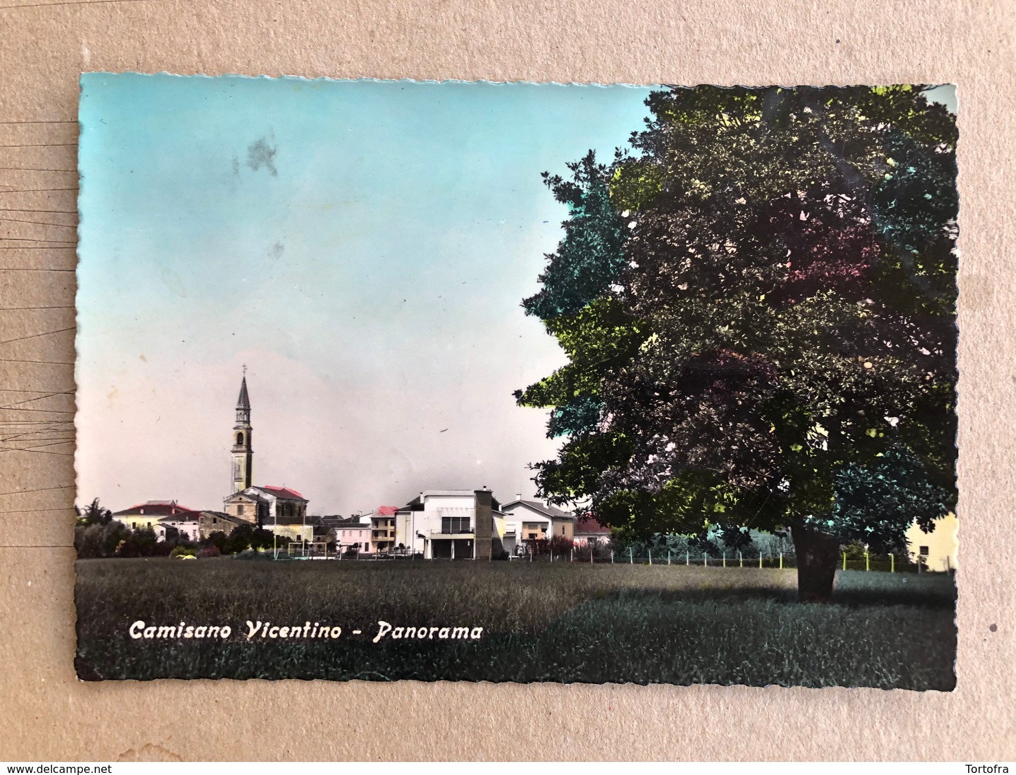 CAMISANO VICENTINO  PANORAMA  1960 - Vicenza