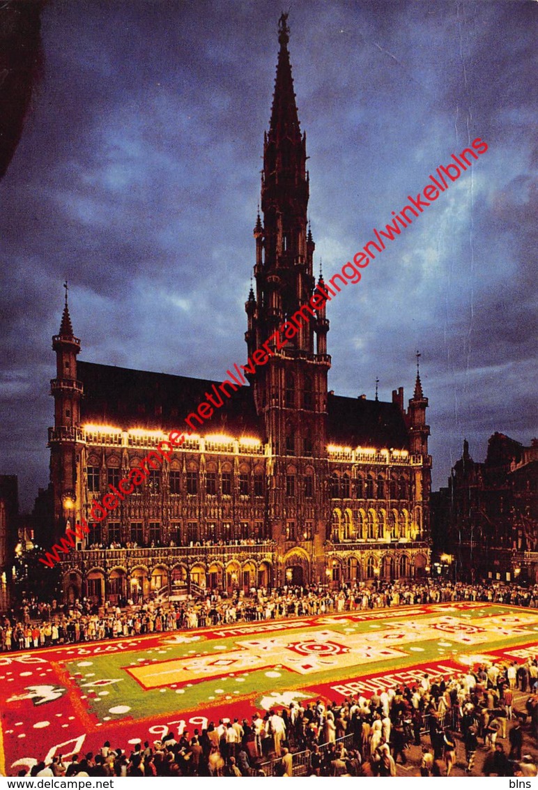 Tapis De Fleurs - Flower Carpet - Bloementapijt - Brussel Bruxelles - Brussel (Stad)