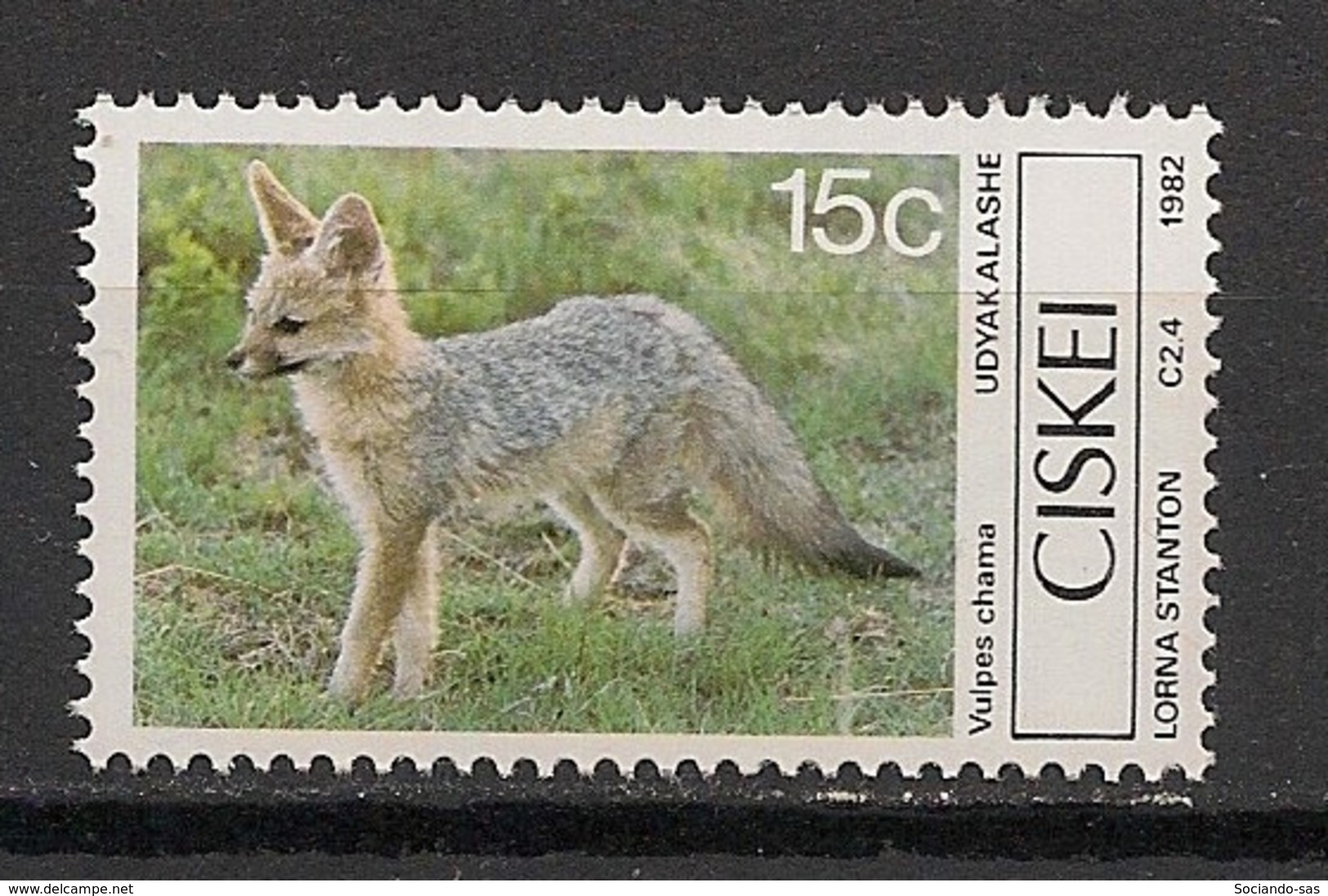 Ciskei - 1982 - N°Yv. 31 - Loup / Wolf - Neuf Luxe ** / MNH / Postfrisch - Autres & Non Classés