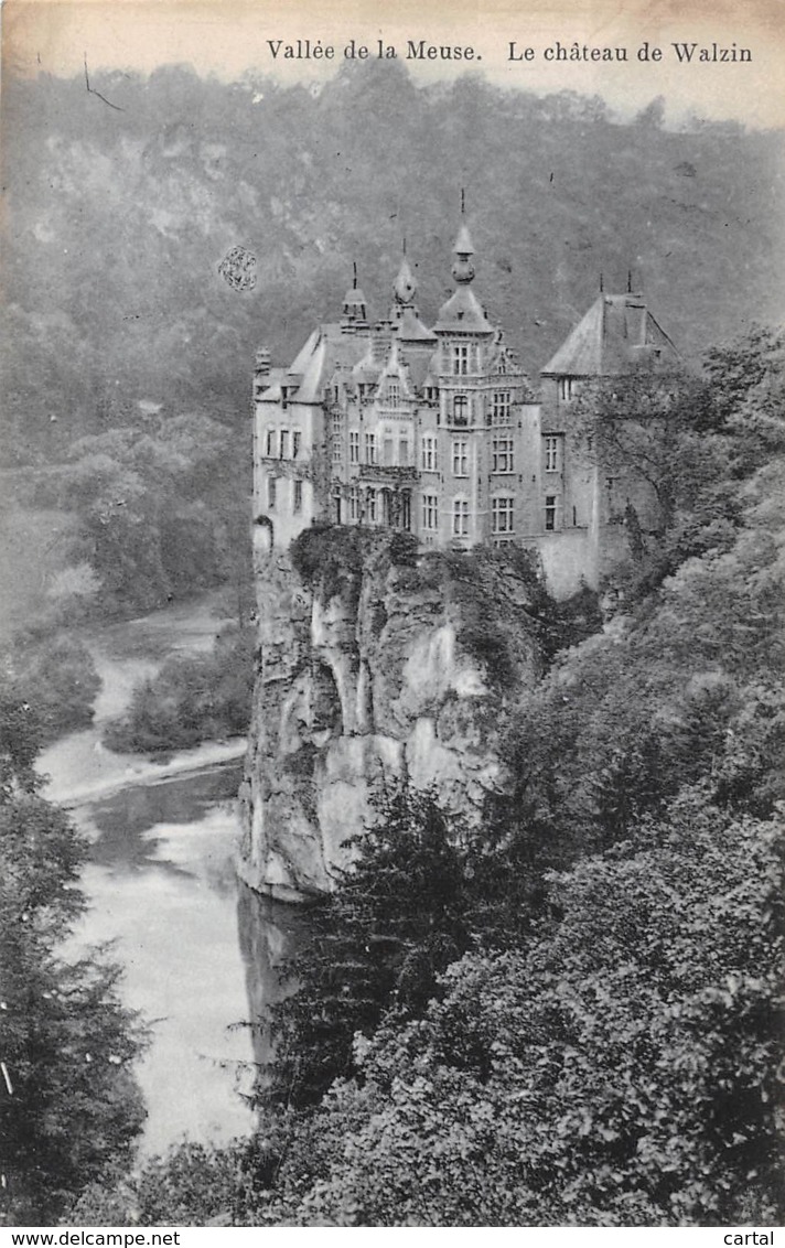 Vallée De La Meuse - Le Château De Walzin - Dinant