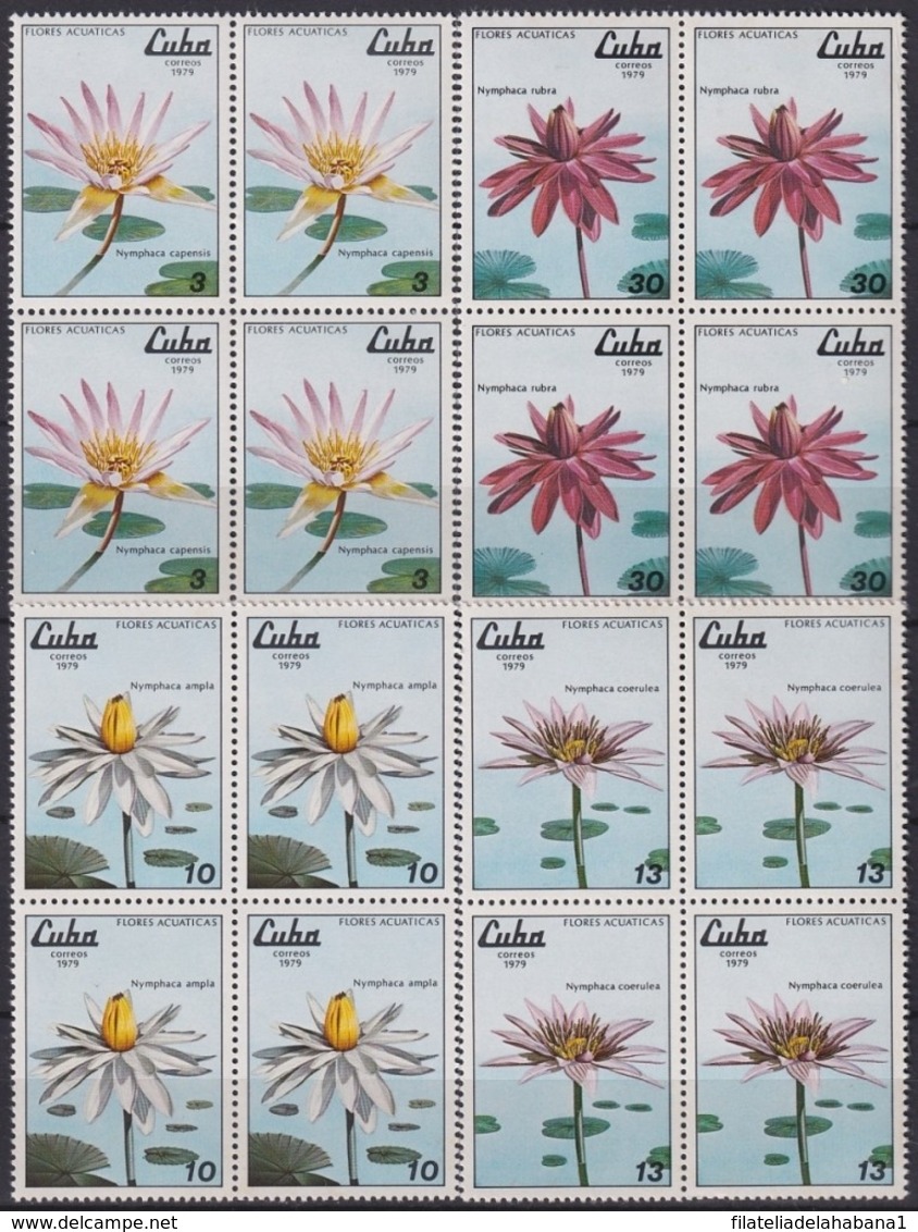 1979.104 CUBA 1979 Ed.2547-50 MNH FLORES ACUATICAS, SEA FLOWERS. BLOCK 4. - Prephilately