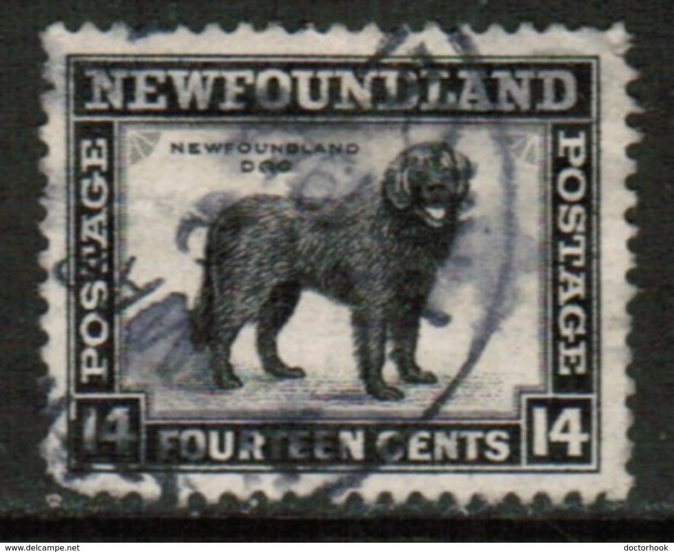 NEWFOUNDLAND  Scott # 261 VF USED  (Stamp Scan # 528) - 1908-1947