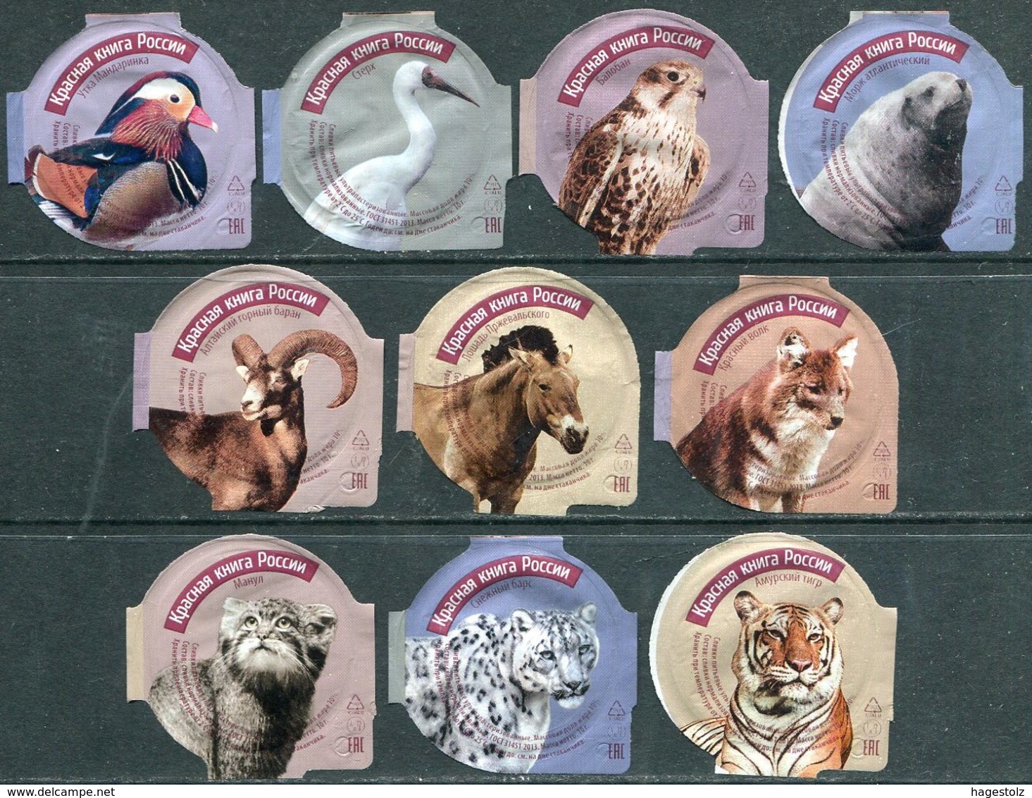 Russia 10 Coffee Cream Labels Animals Red Book PROTECTED FAUNA Birds Walrus Altai Argali Horse Wolf Wild Cats Rote Liste - Milk Tops (Milk Lids)