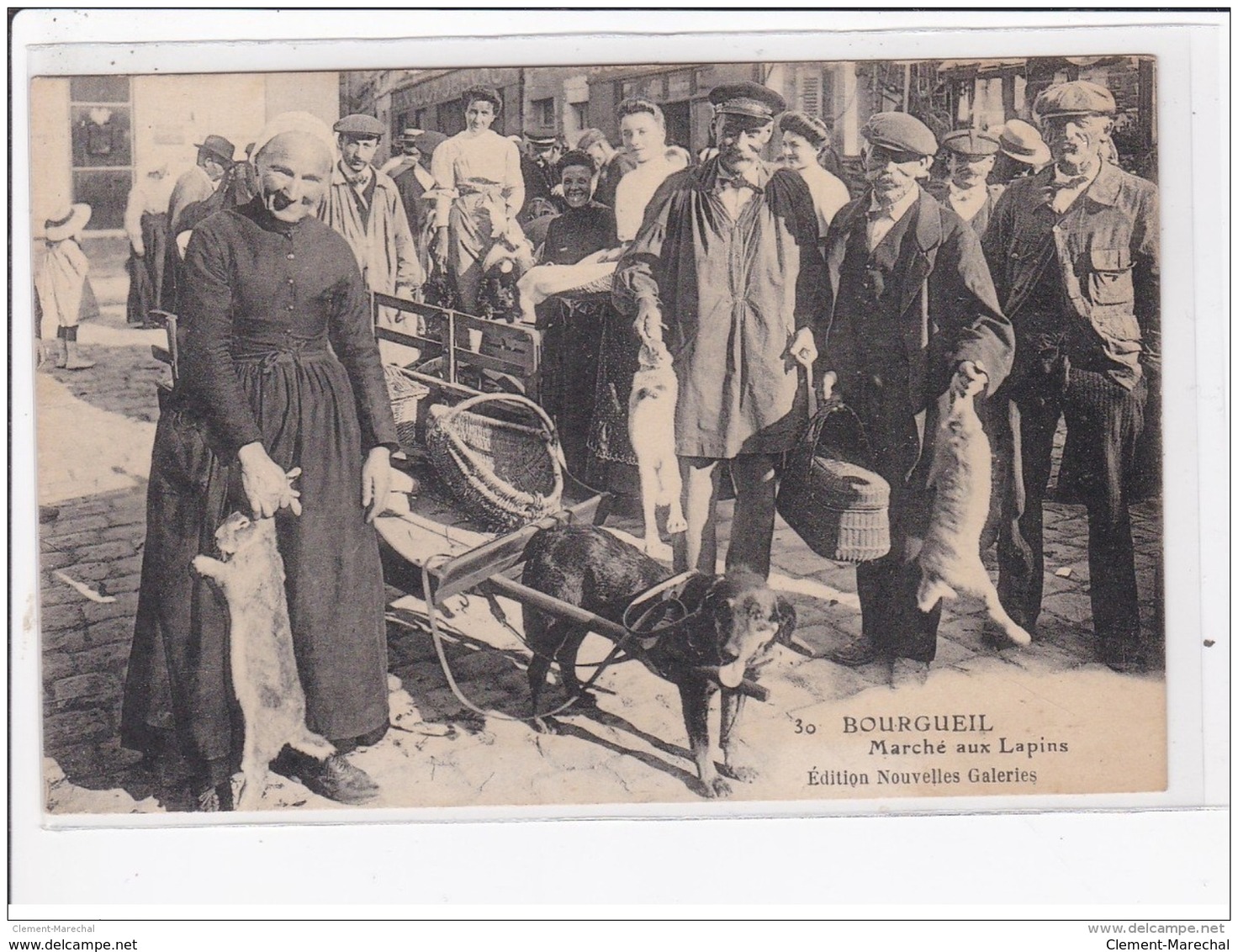 BOURGUEIL : Le Marché Aux Lapins (voiture à Chien) - Très Bon état - Autres & Non Classés