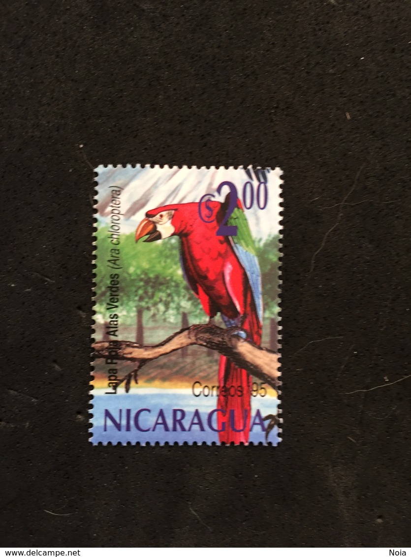 NICARAGUA. BIRD. MNH 5R0308G - Parrots