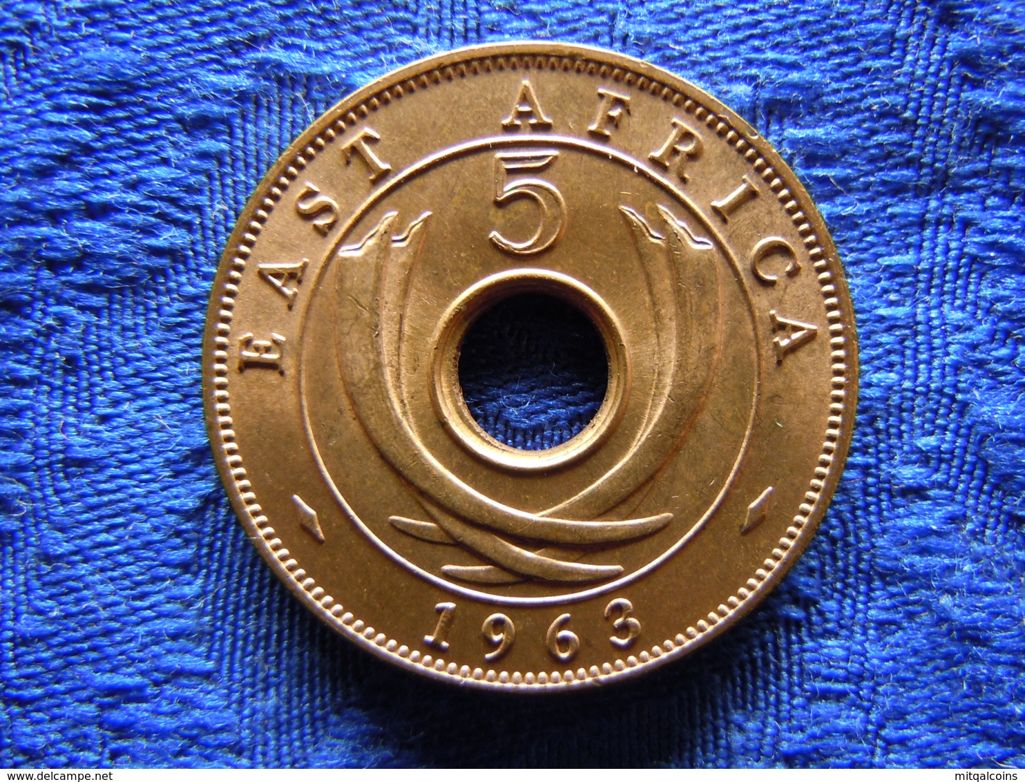 EAST AFRICA 5 CENTS 1963, KM37 AU - British Colony