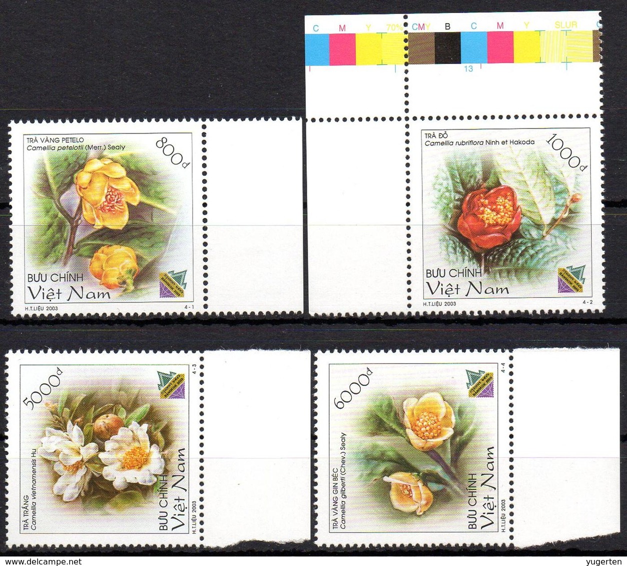 VIETNAM 2003 - 4v - MNH -  Withdrawn Stamps - Flowers Fleurs - Blumen Flora - цветы - Flores - 花卉 - Flore - Camelia - Muziek