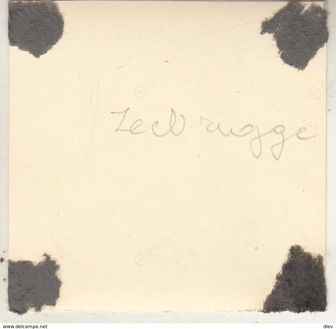 Zeebrugge - Foto 6.5 X 6.5 Cm - Plaatsen