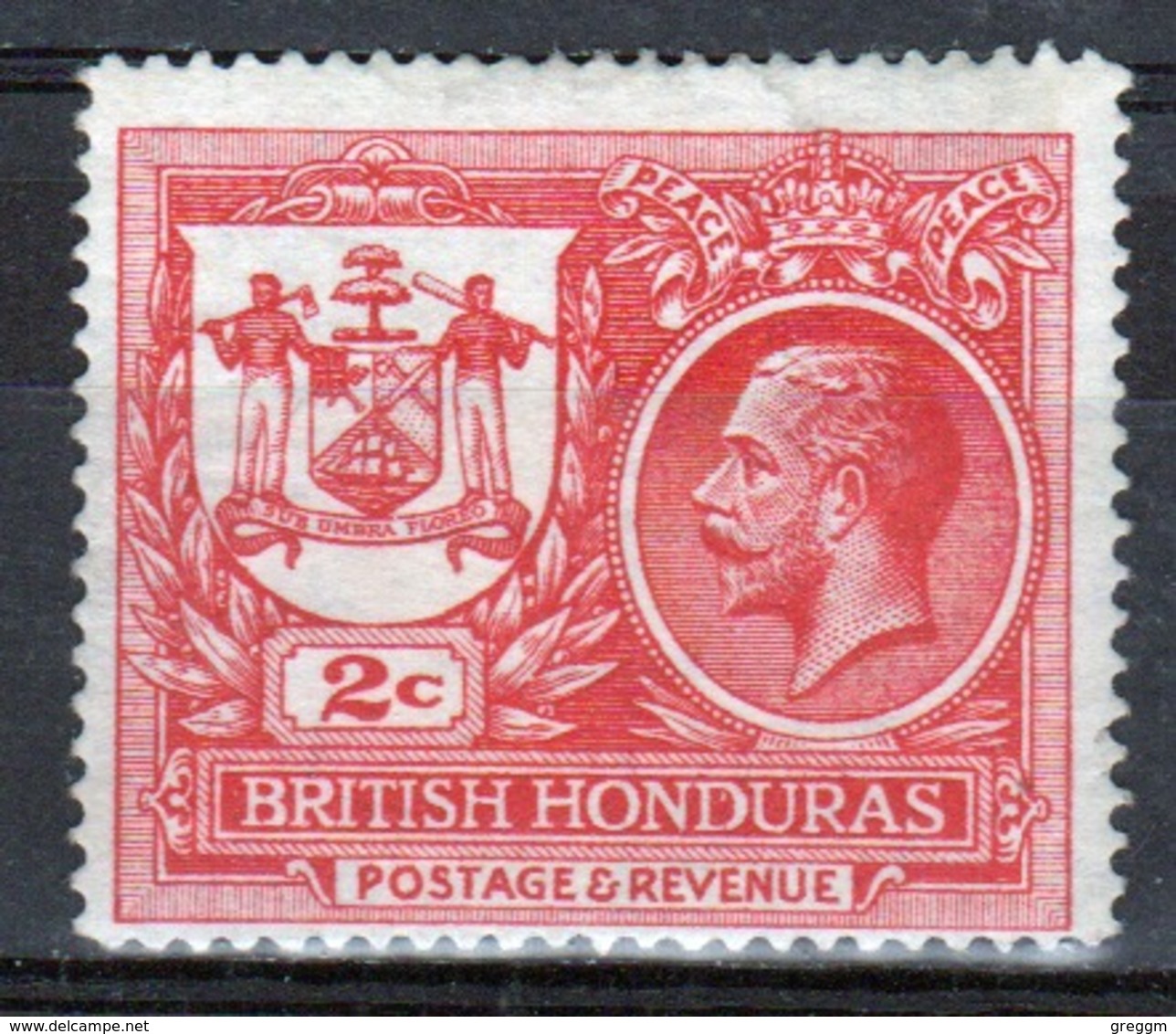 British Honduras 1921 Single 2c Stamp From The George V Set. - British Honduras (...-1970)