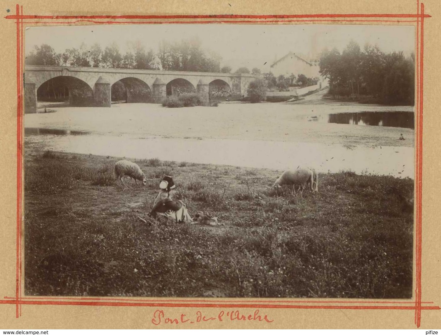 Photo Avec Légende Erronée "Pont-de-l'Arche". Bergère Avec Moutons . A Situer . Citrate Circa 1900 . - Ancianas (antes De 1900)