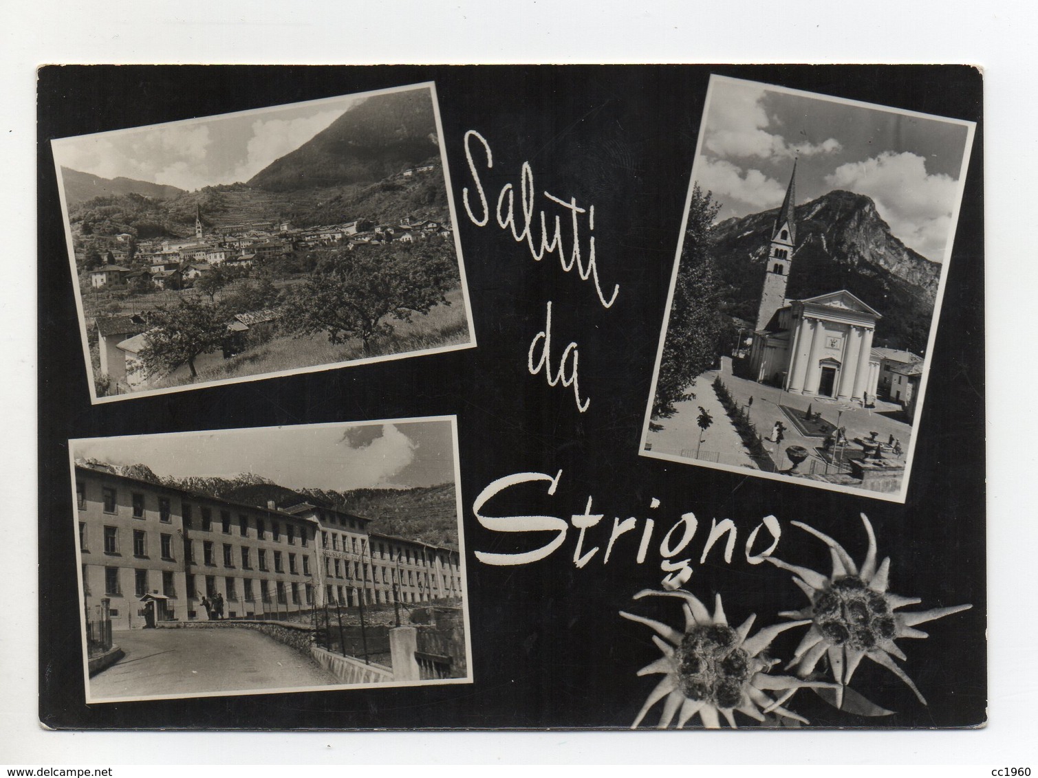 Strigno (Trento) - Saluti Da - Cartolina Multipanoramica - Viaggiata - (FDC16641) - Trento