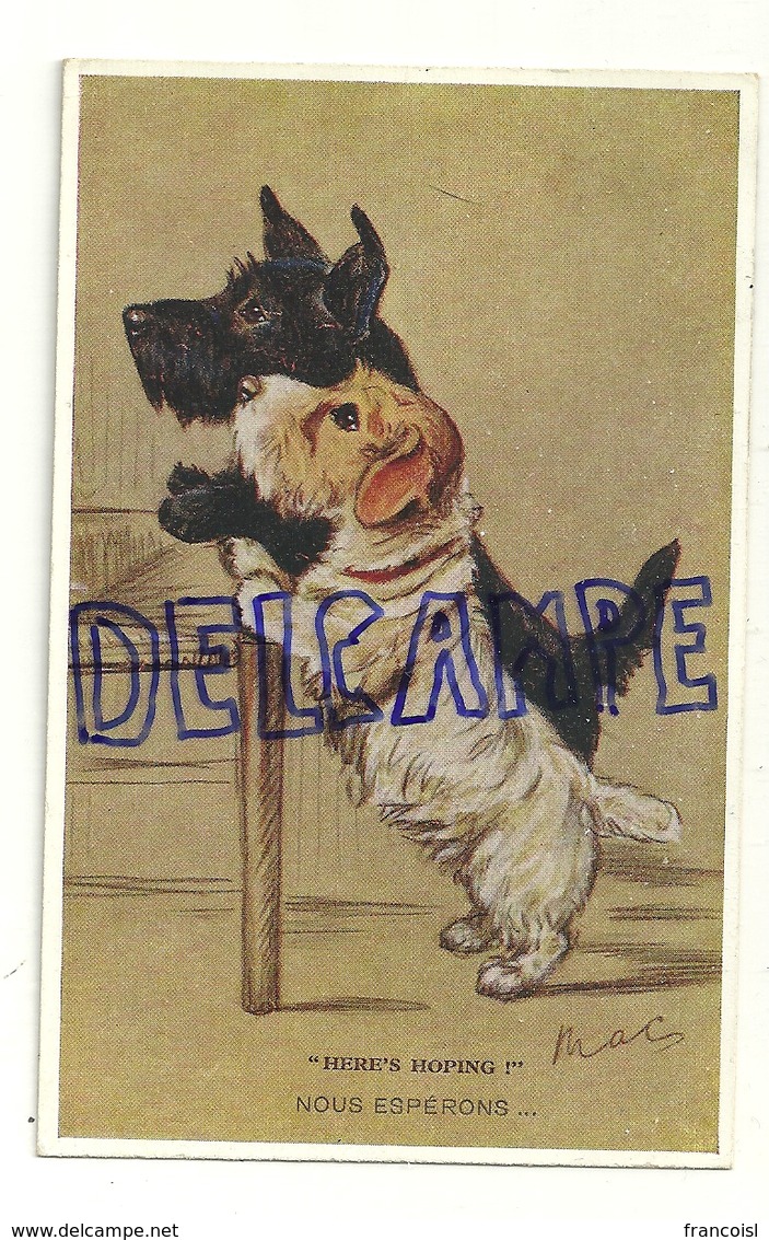 Deux Chiens (un Fox ?). Signée Mac. "Nous Espérons". 1932. Valentine's "Tail-Wagger" - Mac Mahon