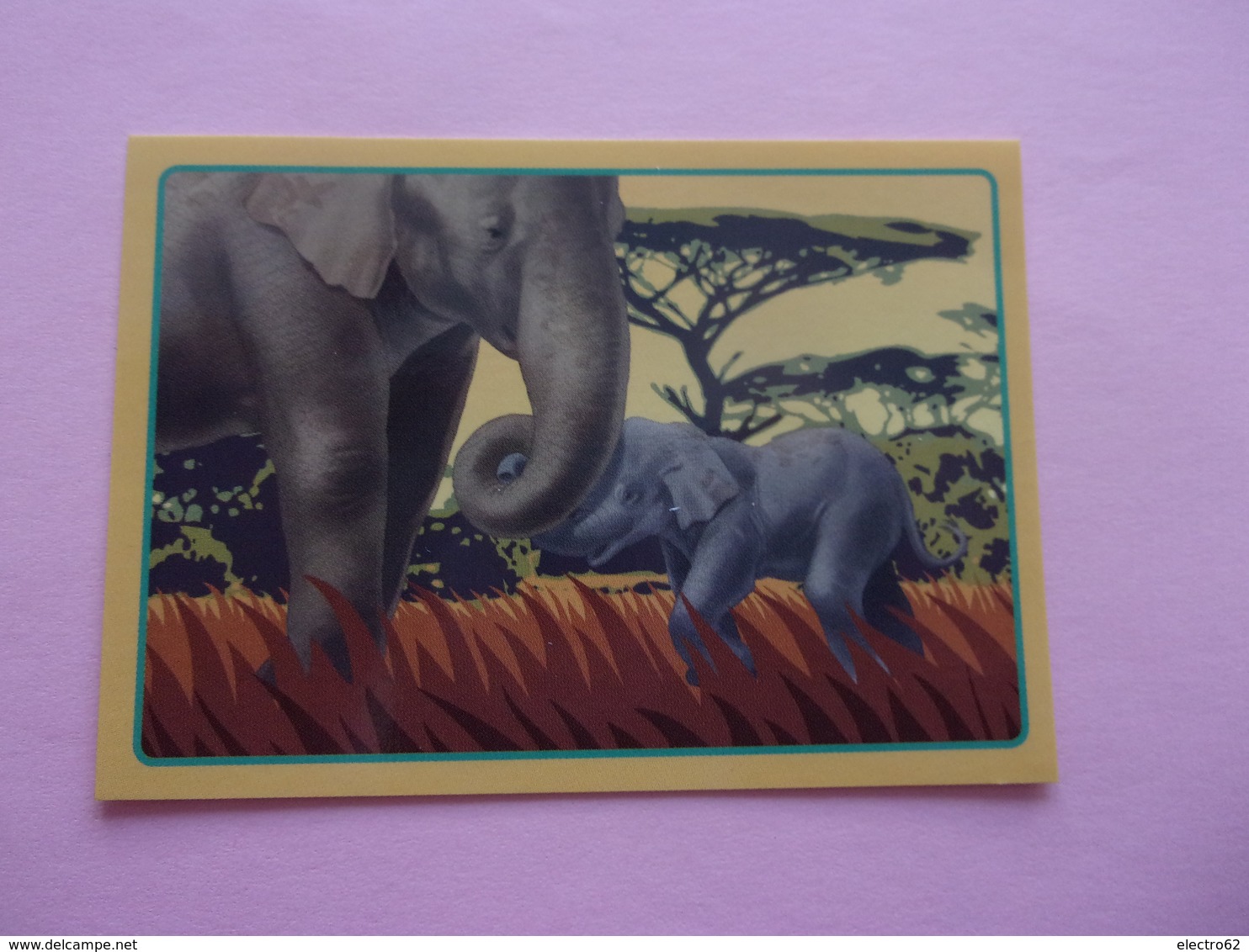 PANINI ANIMAL WORLD Animaux N°537 éléphant Elefant Elefante Elephant - Franse Uitgave