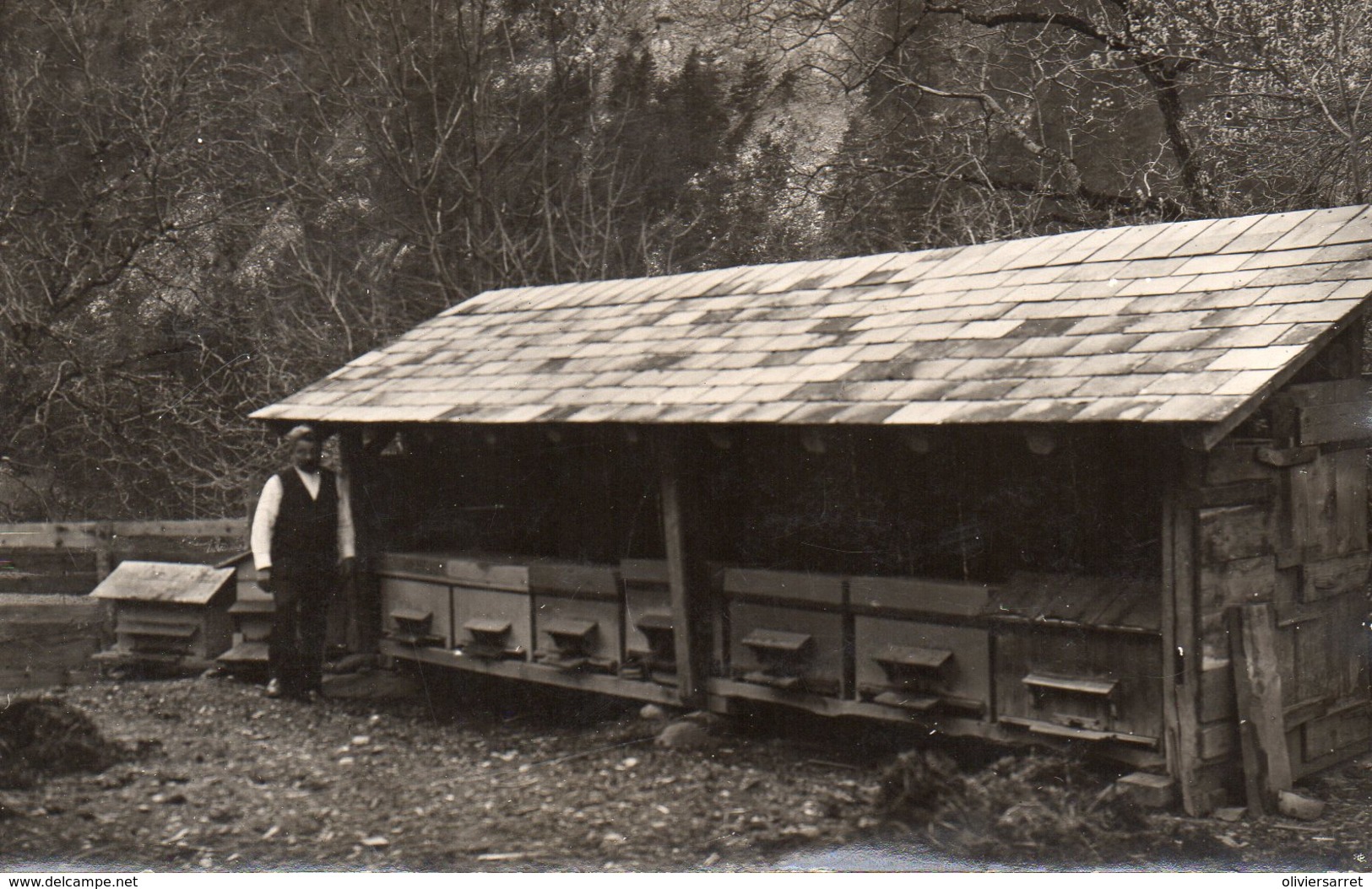 Maurienne Carte Photo Gevoudaz Mr Opinel Devant Ses Ruches - Autres & Non Classés