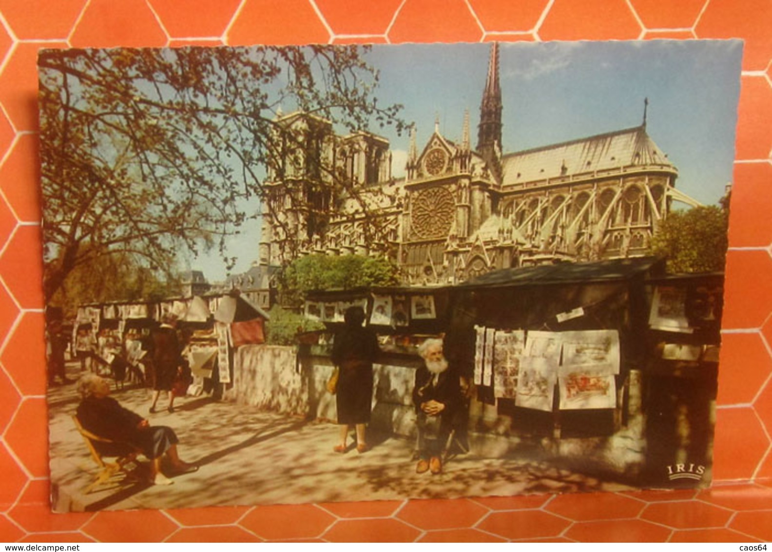 Notre Dame De Paris  Les Bouquinistes CARTOLINA Non  Viaggiata - Notre Dame De Paris