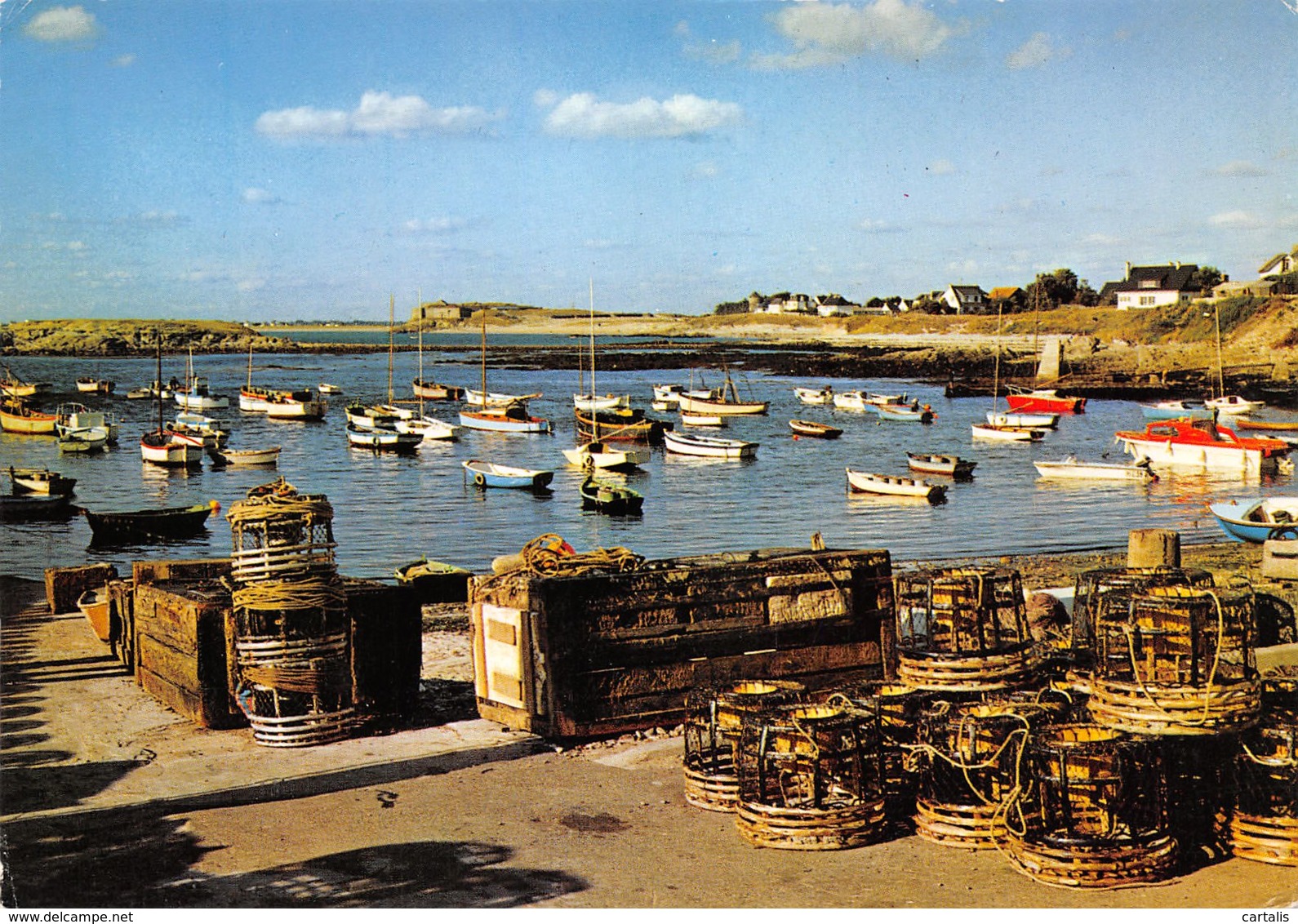 56-QUIBERON-N°C-3462-C/0275 - Quiberon