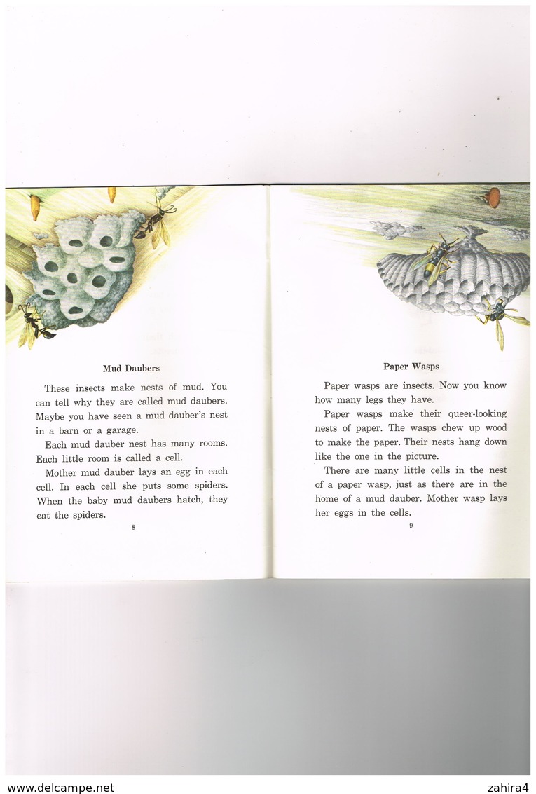 Six-Legged Neighbors Bertha Morris Parker Mabel O'Donnell Illust. Arnold W.Ryan Butterflie Insect Beetle - New York USA - Sonstige & Ohne Zuordnung